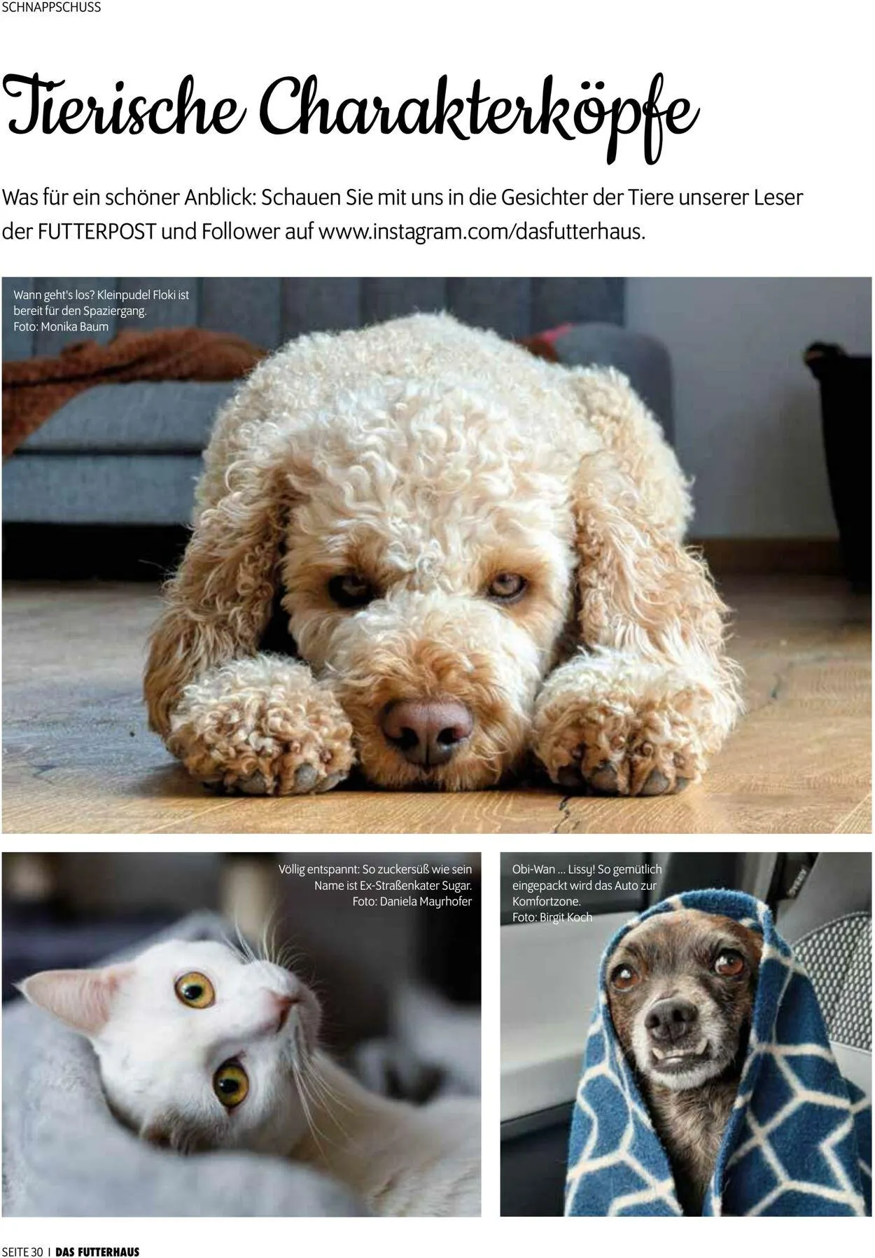 Futterhaus Aktueller Prospekt von 1. August bis 31. August 2025 - Prospekt seite 30