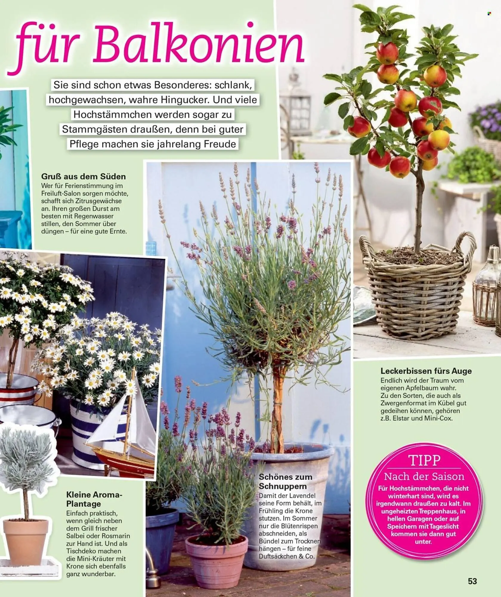 Poco Prospekt von 28. April bis 22. Juni 2025 - Prospekt seite 53