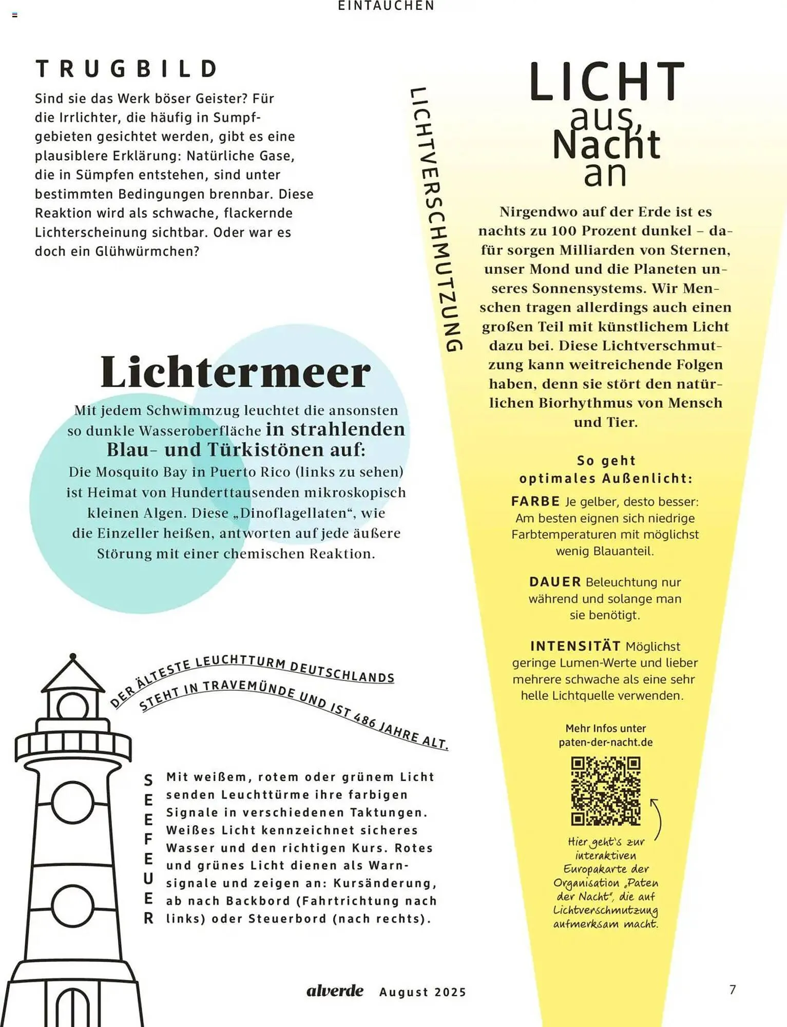 dm drogerie Prospekt von 1. August bis 31. August 2025 - Prospekt seite 7