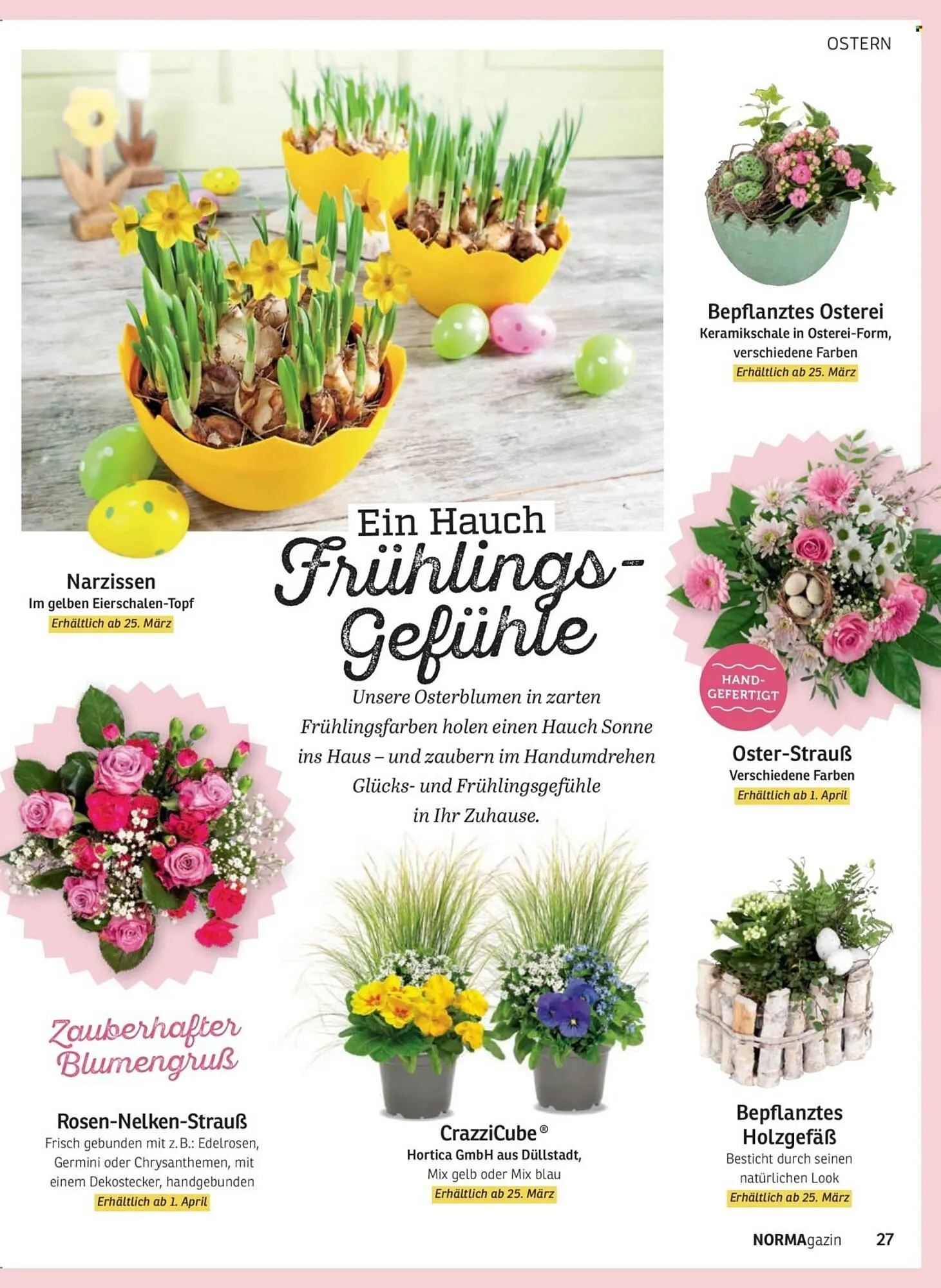 Norma Magazin von 1. März bis 30. April 2026 - Prospekt seite 27