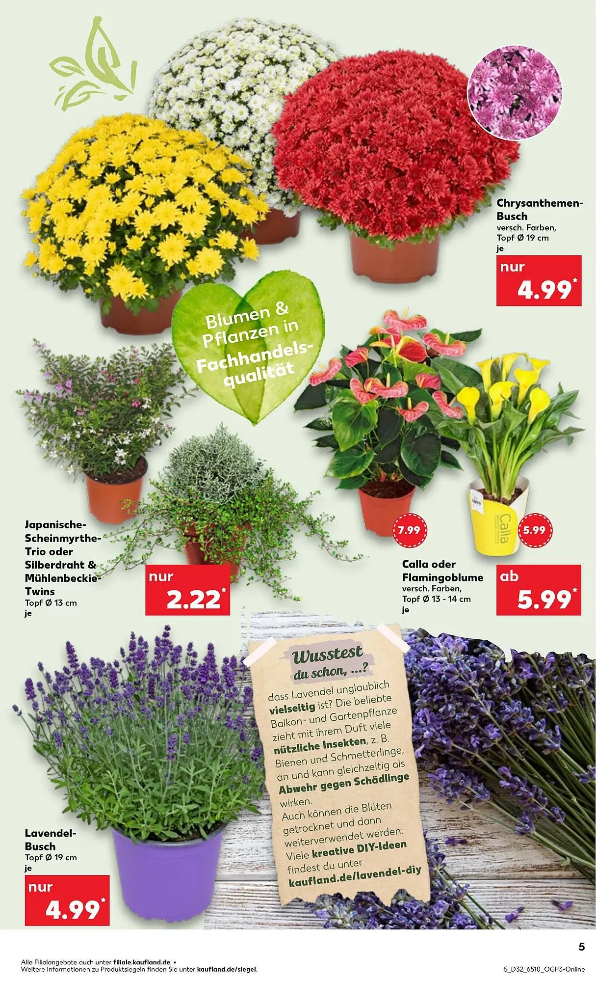 Kaufland Prospekt von 7. August bis 13. August 2025 - Prospekt seite 5