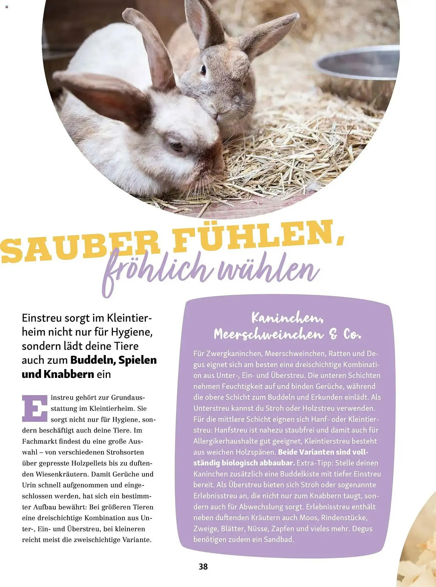 Fressnapf Magazin von 1. Januar bis 28. Februar 2026 - Prospekt seite 38