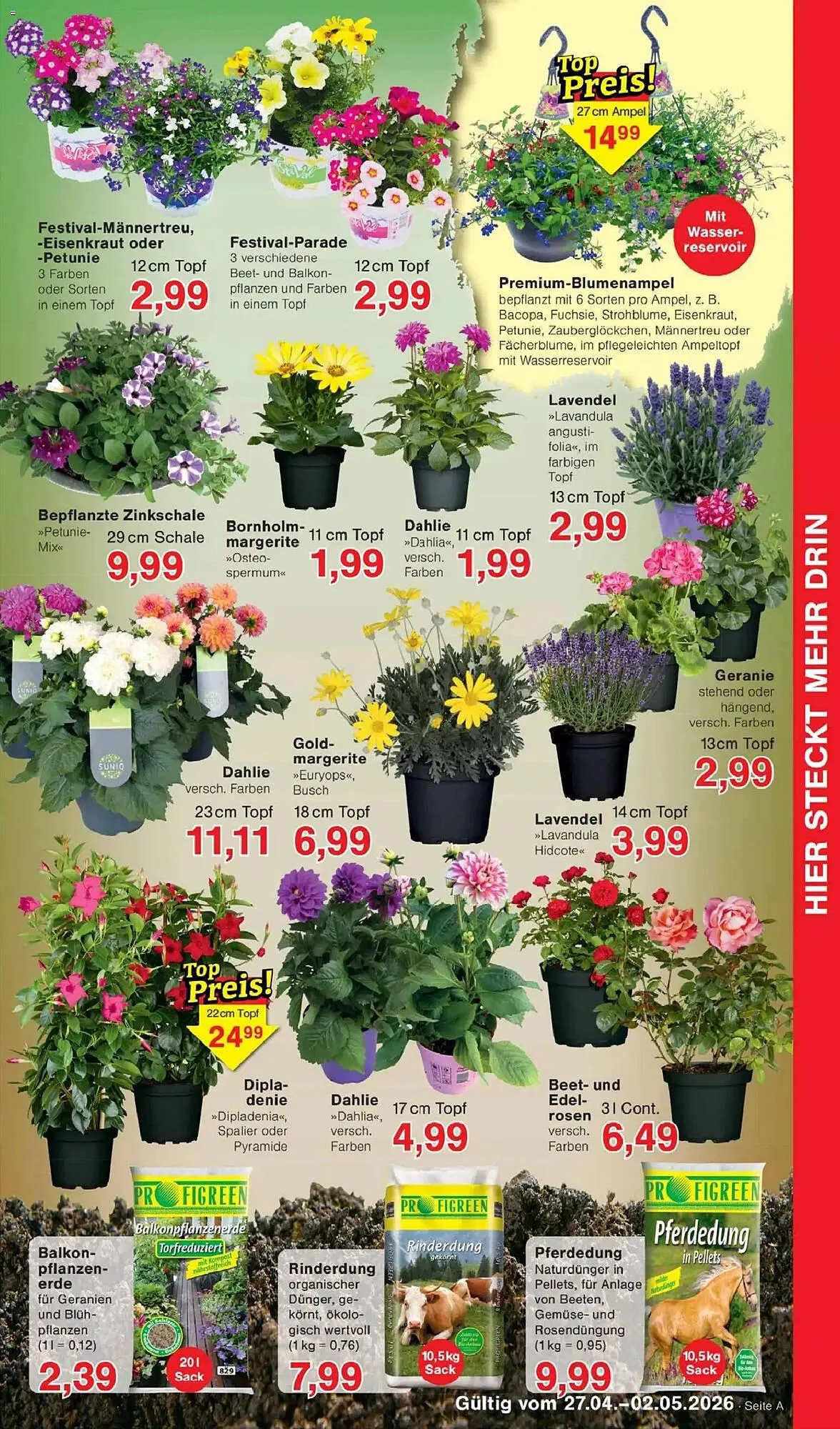 Jawoll Prospekt von 27. April bis 2. Mai 2026 - Prospekt seite 7