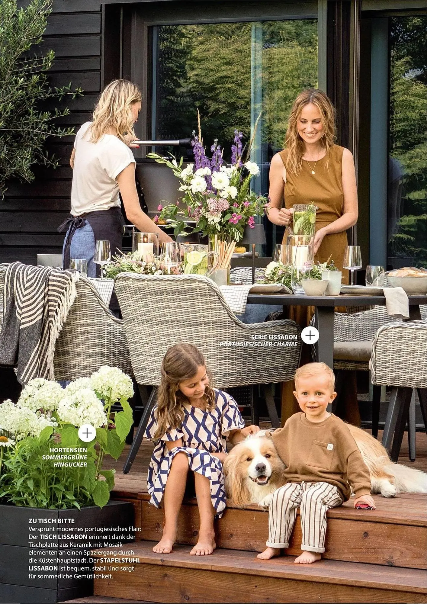 Dehner Prospekt von 1. Juli bis 31. Dezember 2025 - Prospekt seite 8