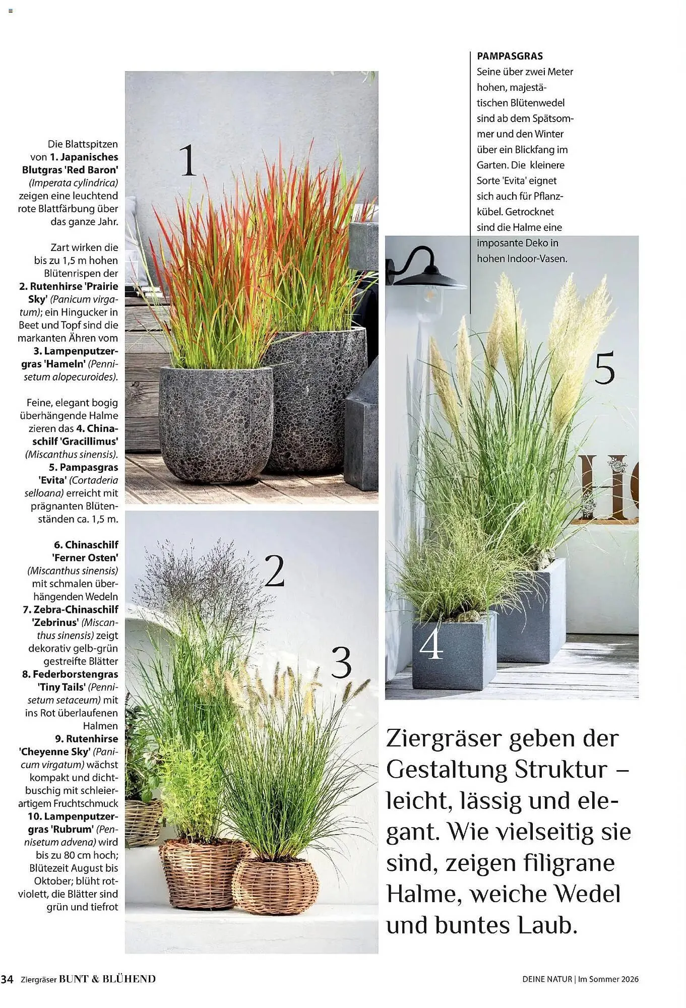 Dehner Prospekt von 17. April bis 31. August 2026 - Prospekt seite 34