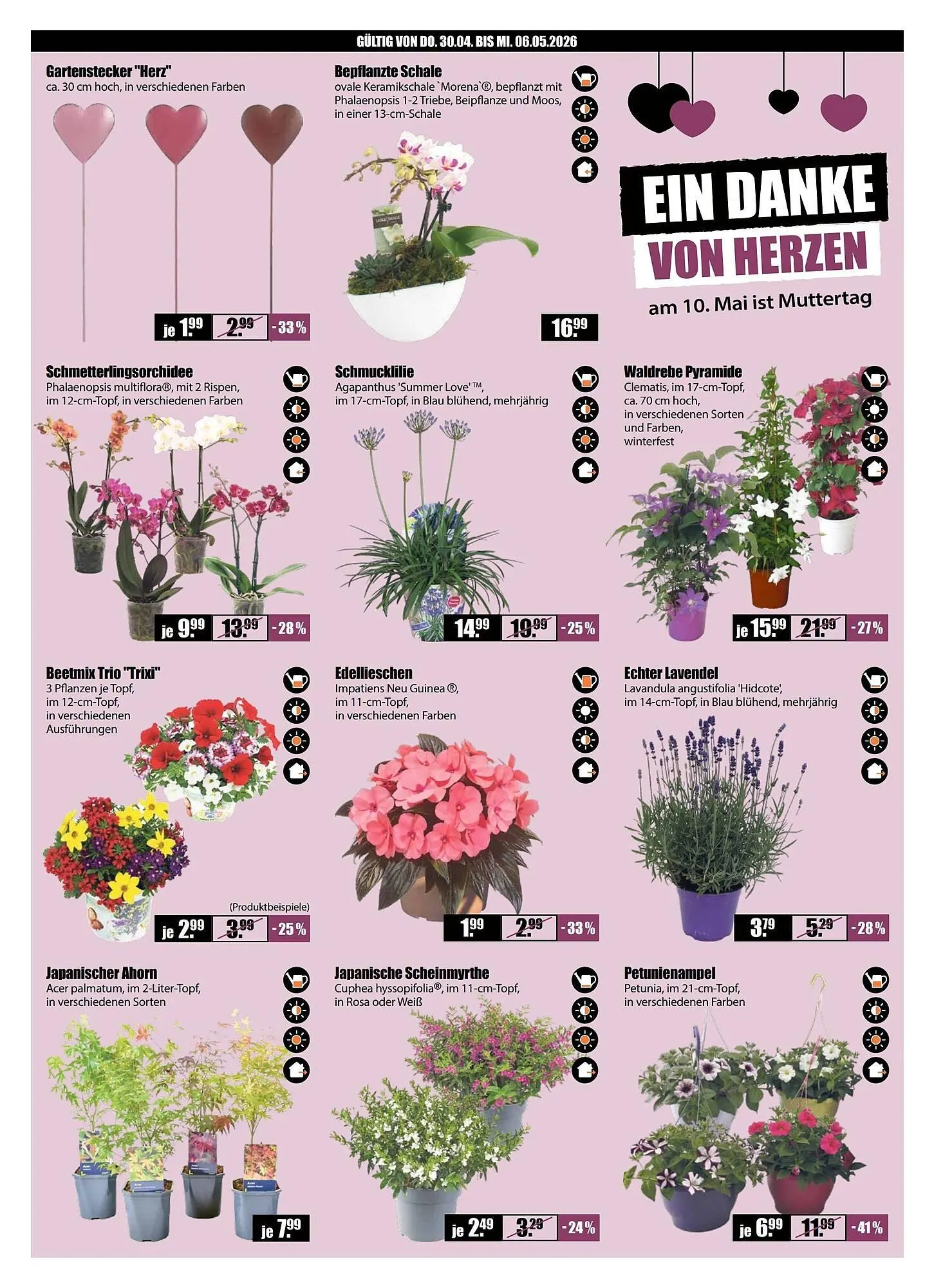 V Baumarkt Prospekt von 30. April bis 7. Mai 2026 - Prospekt seite 2