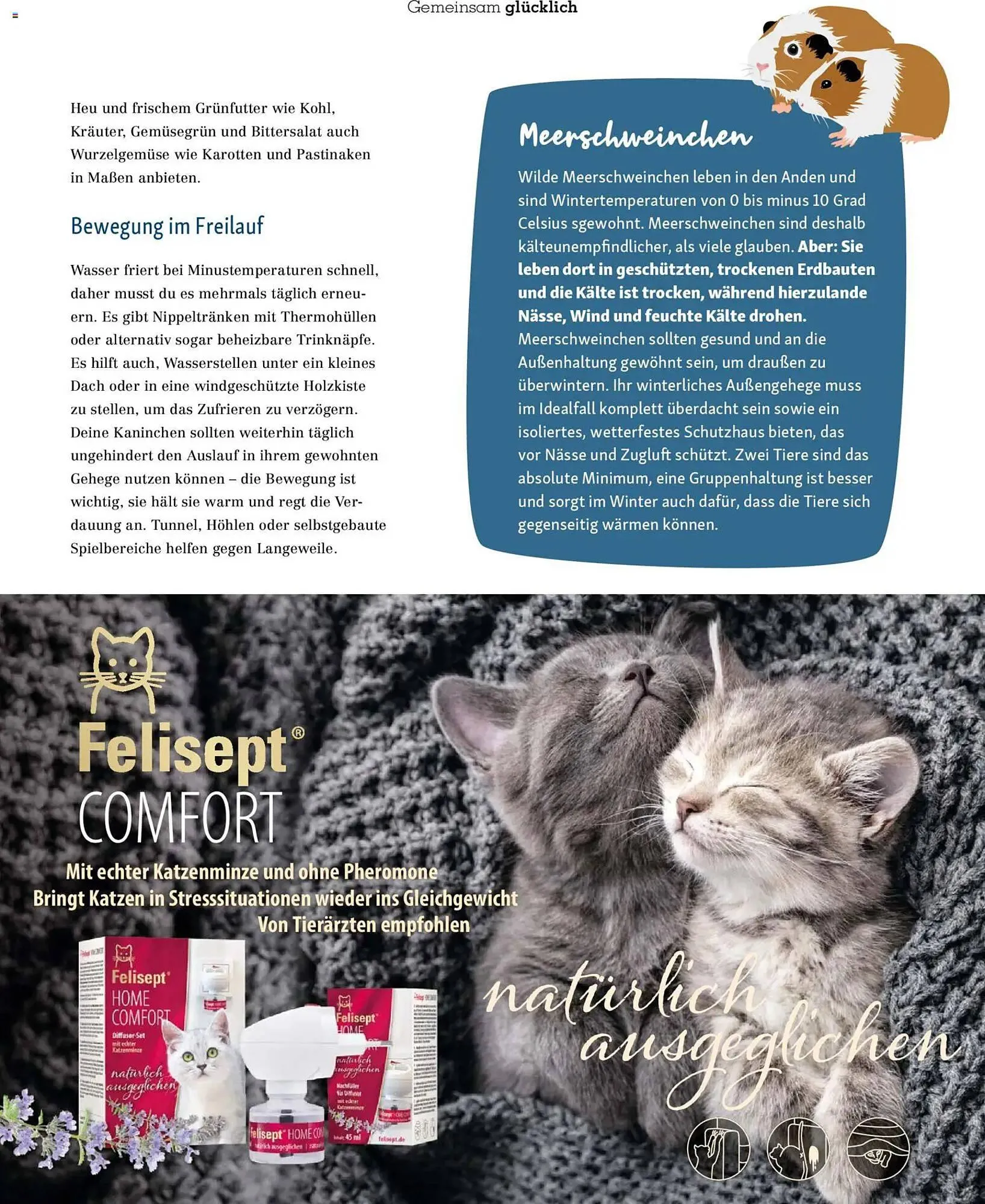 Fressnapf Magazin von 1. November bis 31. Dezember 2025 - Prospekt seite 39