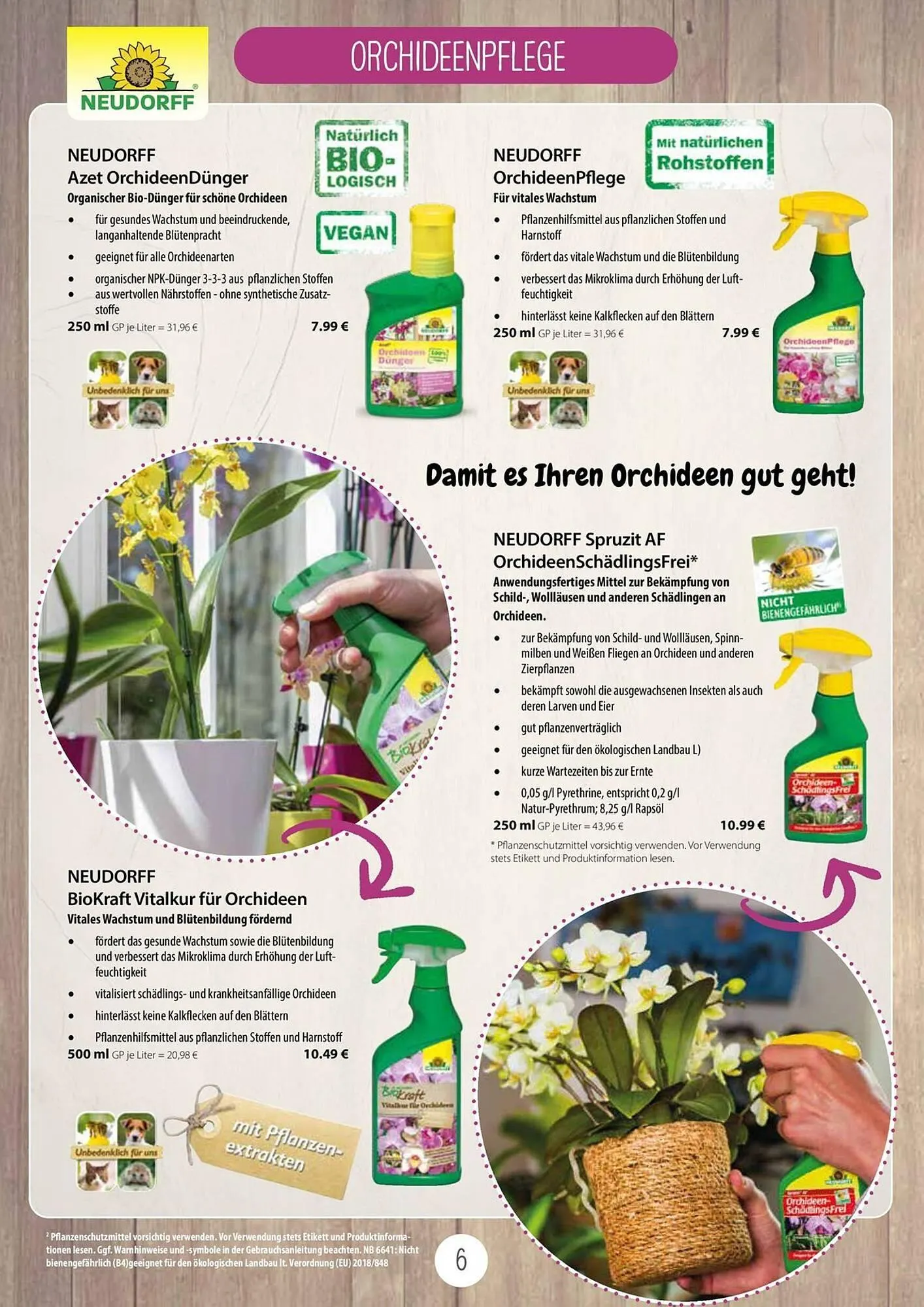 Kiebitzmarkt Prospekt von 16. April bis 31. August 2025 - Prospekt seite 6