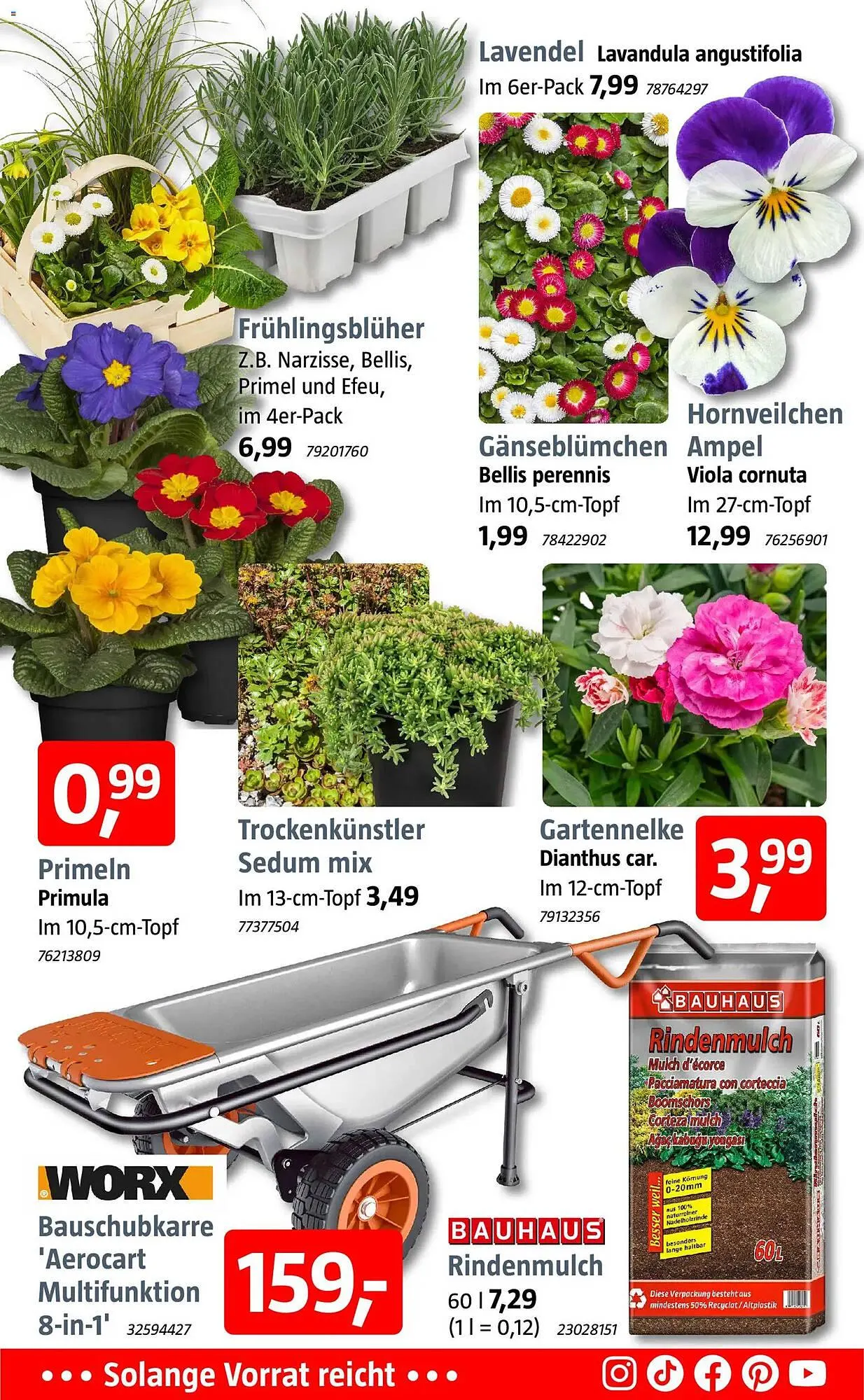 Bauhaus Prospekt von 16. März bis 28. März 2026 - Prospekt seite 2