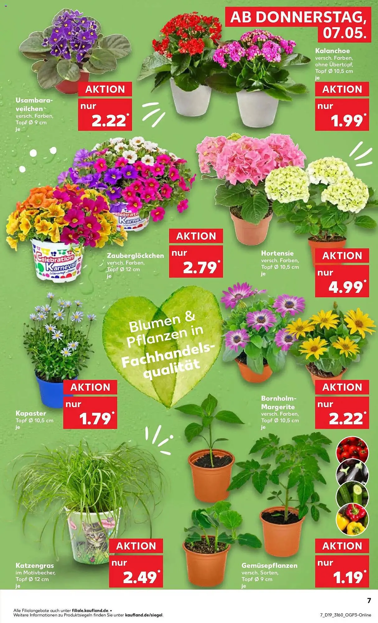 Kaufland Prospekt von 7. Mai bis 13. Mai 2026 - Prospekt seite 7