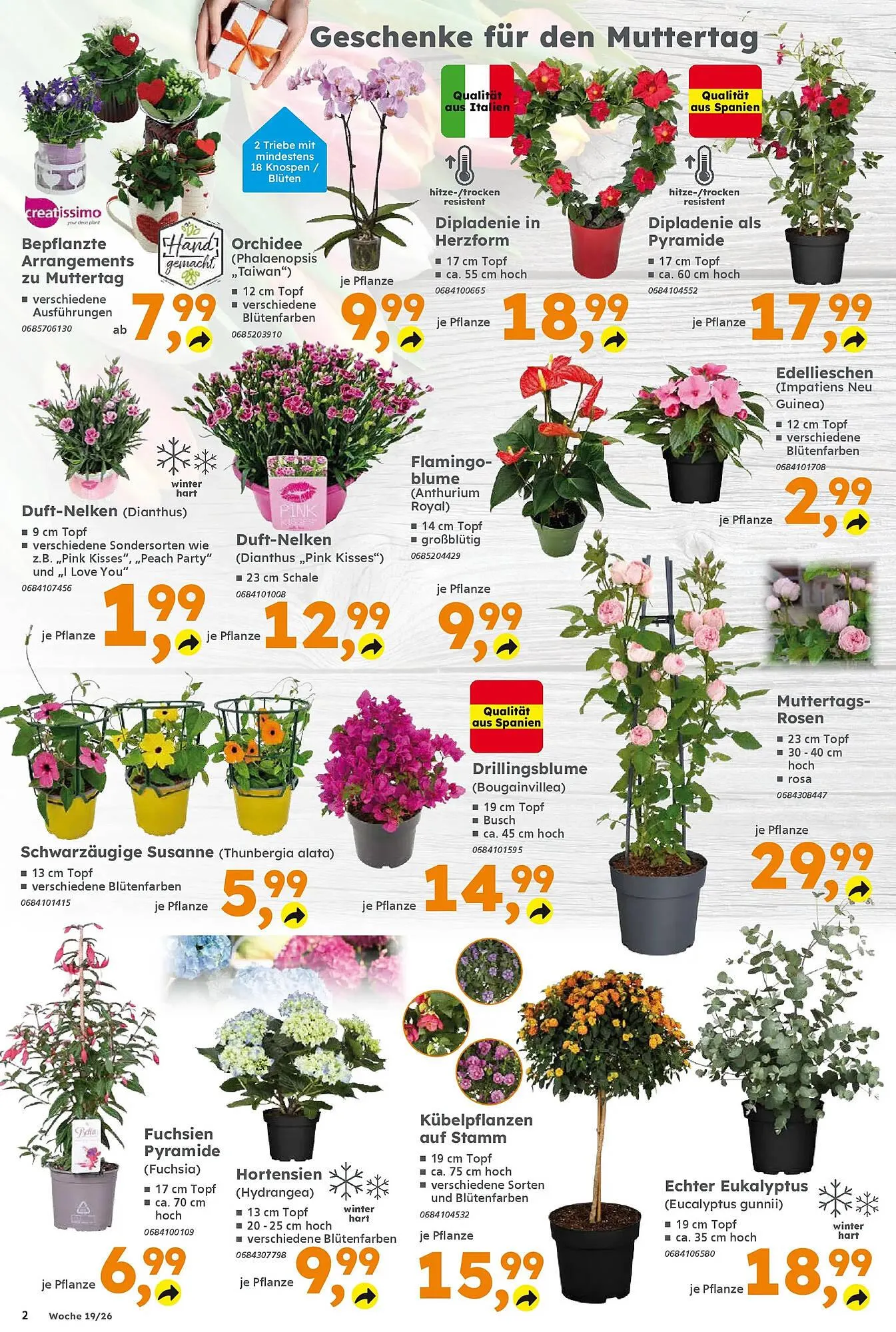 Globus Baumarkt Prospekt von 3. Mai bis 9. Mai 2026 - Prospekt seite 2