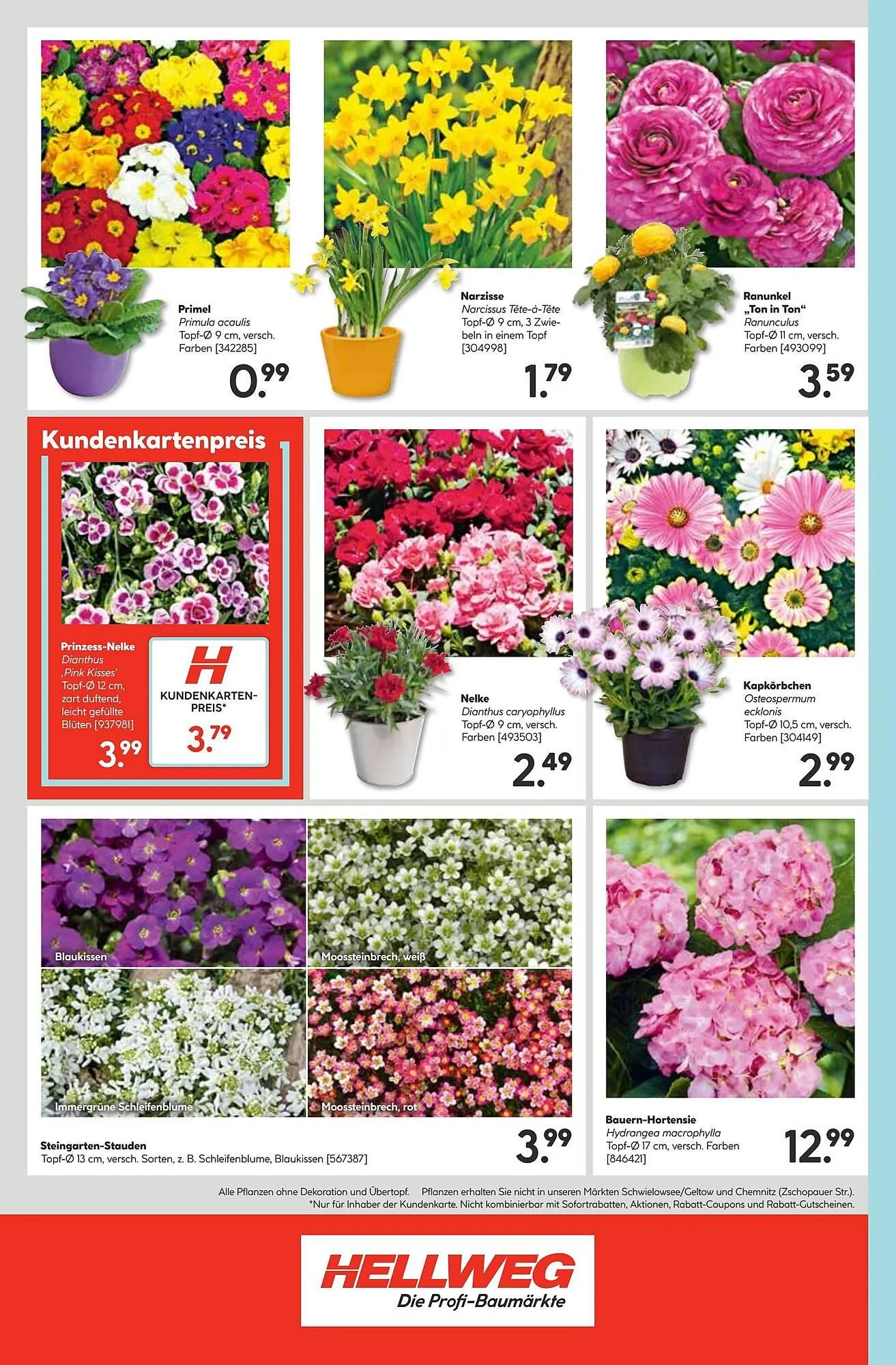 Hellweg Prospekt von 24. März bis 30. März 2025 - Prospekt seite 32
