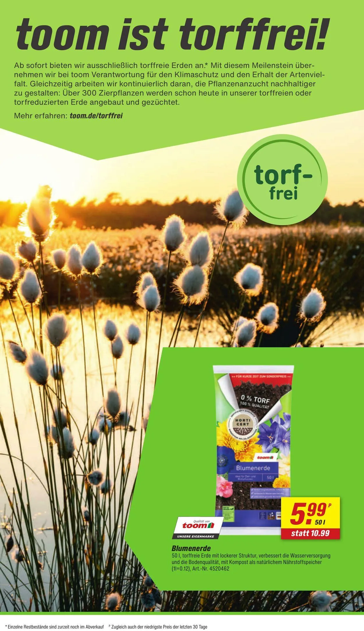 toom Baumarkt Aktueller Prospekt von 18. August bis 1. September 2025 - Prospekt seite 6