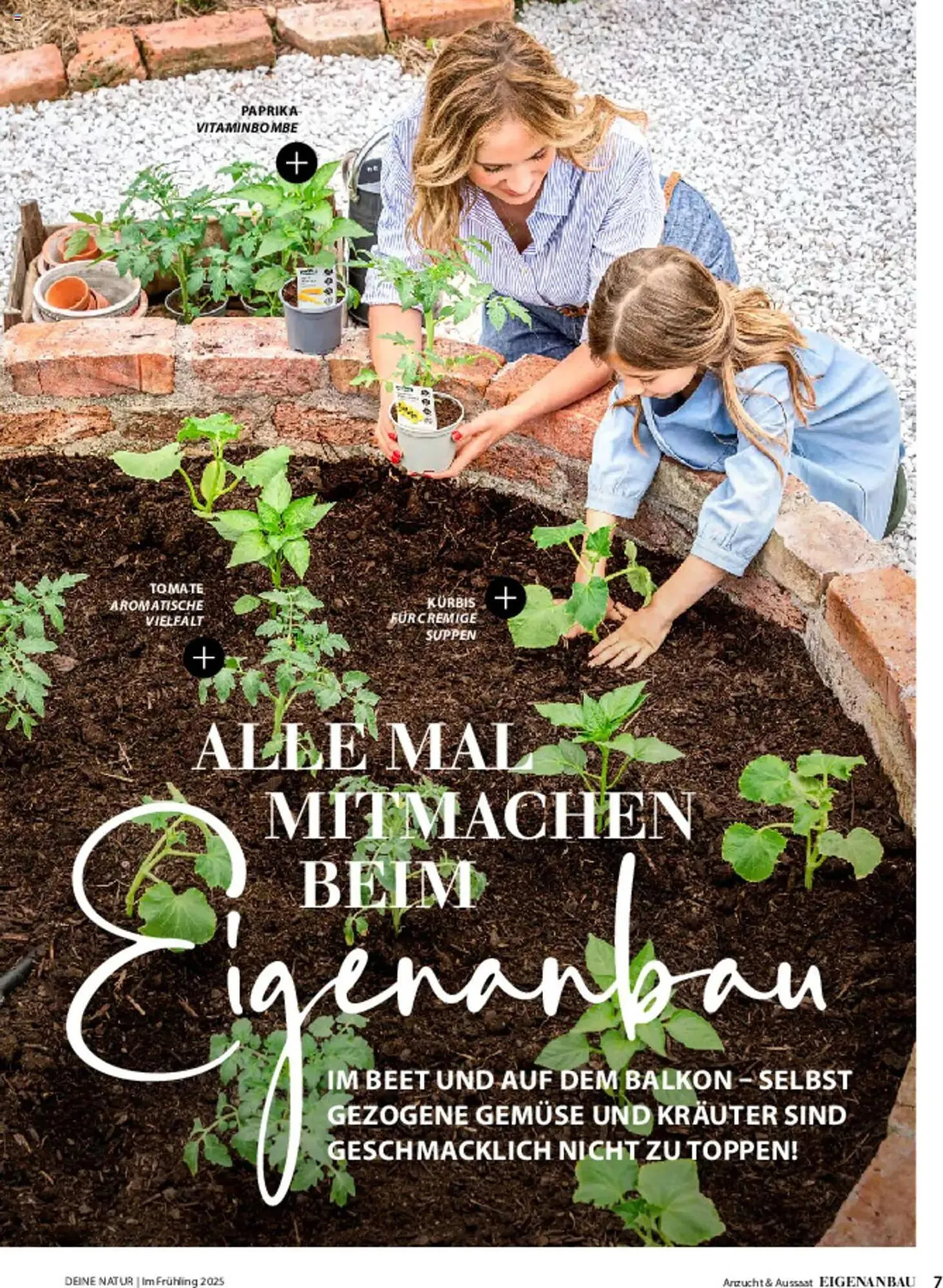 Dehner Prospekt von 6. März bis 9. Juni 2025 - Prospekt seite 7