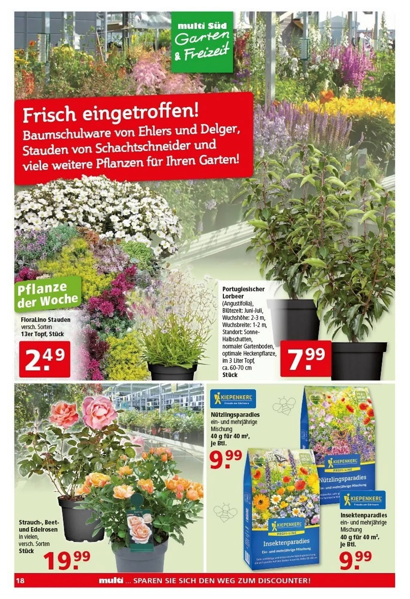 Multi Markt Prospekt von 16. März bis 21. März 2026 - Prospekt seite 18