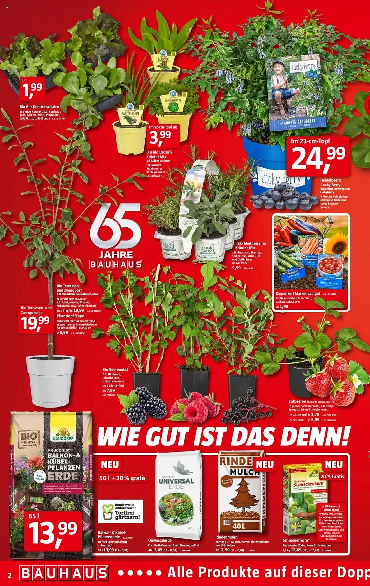 Bauhaus Prospekt von 1. März bis 29. März 2025 - Prospekt seite 2