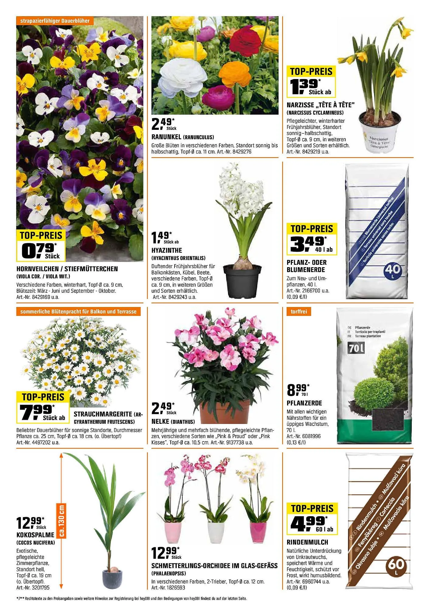 OBI Prospekt von 14. März bis 31. März 2025 - Prospekt seite 4