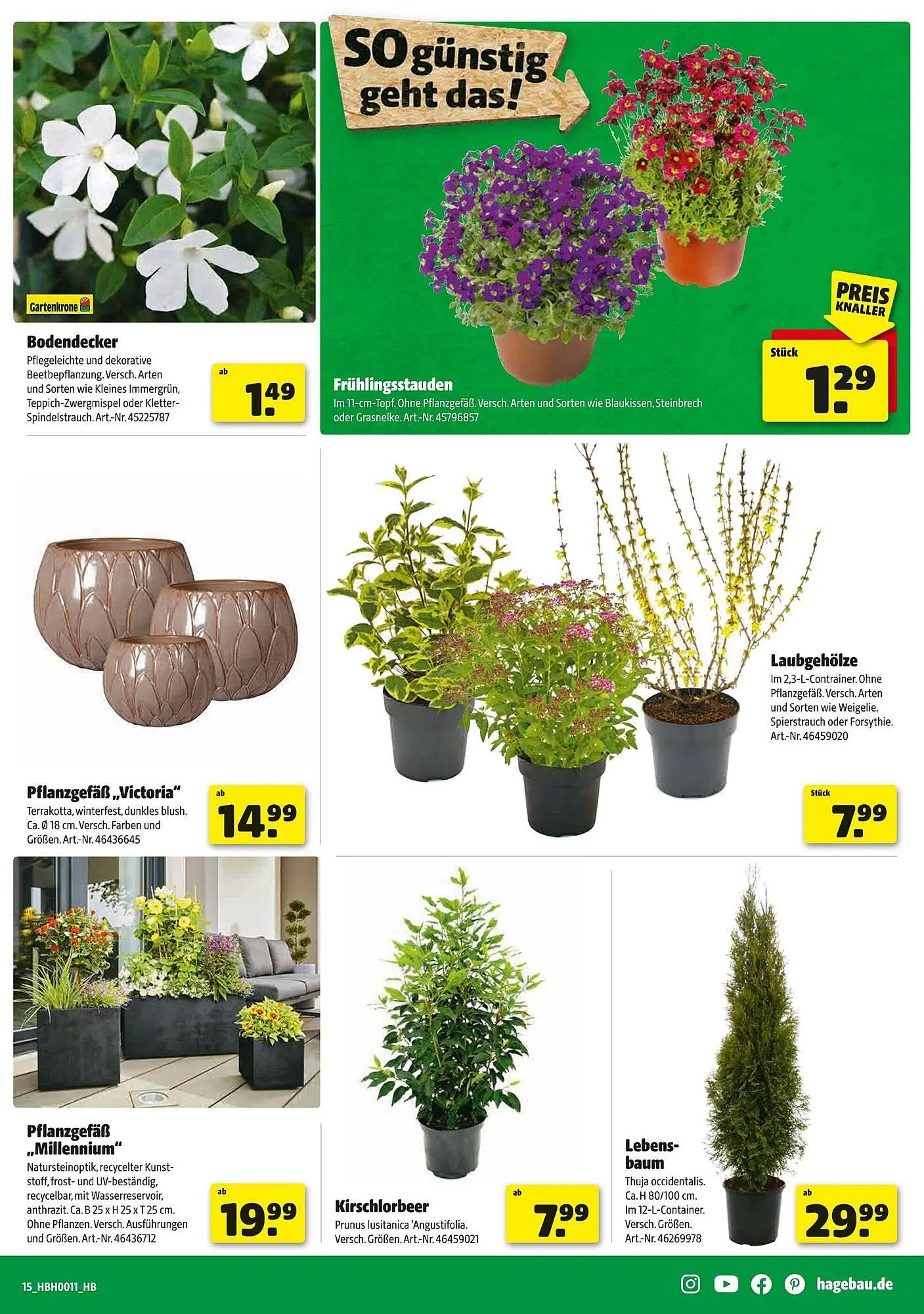 Hagebau Prospekt von 8. März bis 15. März 2025 - Prospekt seite 15