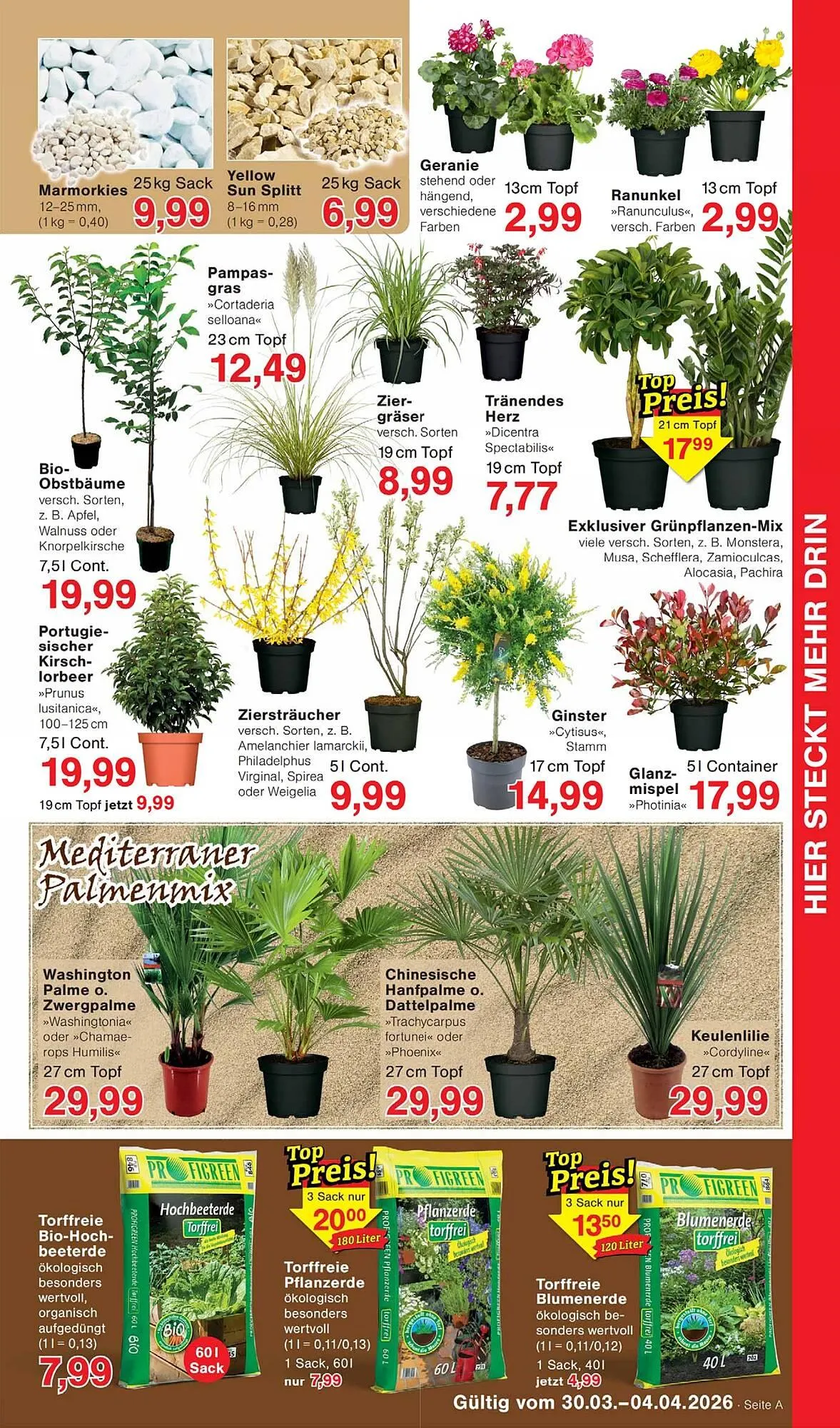 Wiglo Wunderland Prospekt von 30. März bis 4. April 2026 - Prospekt seite 7