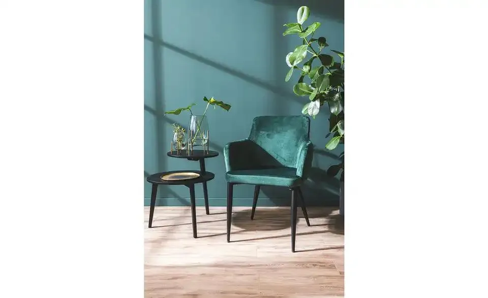 Samt-Armlehnenstuhl Heiner