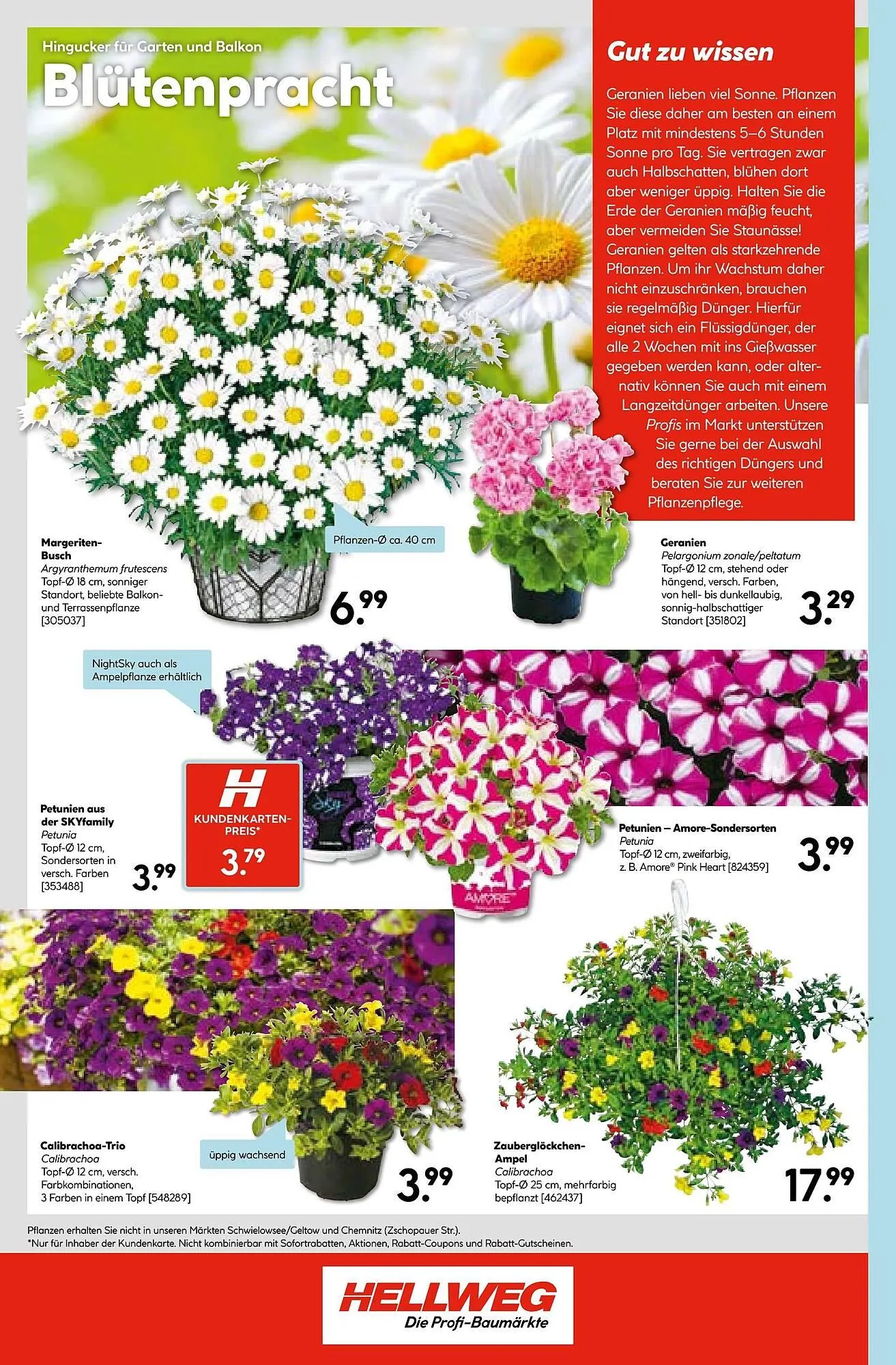 Hellweg Prospekt von 28. April bis 3. Mai 2025 - Prospekt seite 28