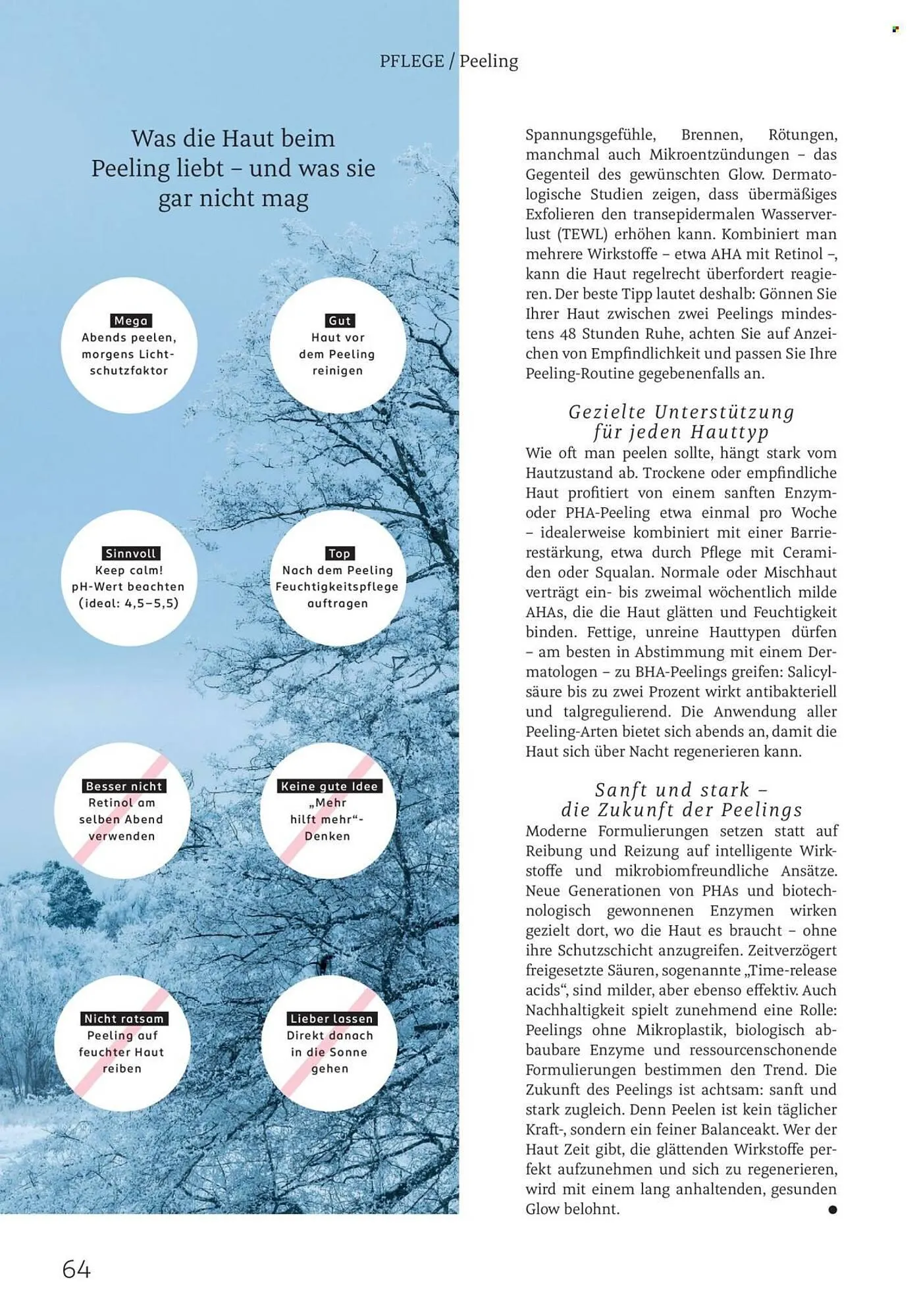 Rossmann Magazin von 1. Januar bis 31. Januar 2026 - Prospekt seite 64