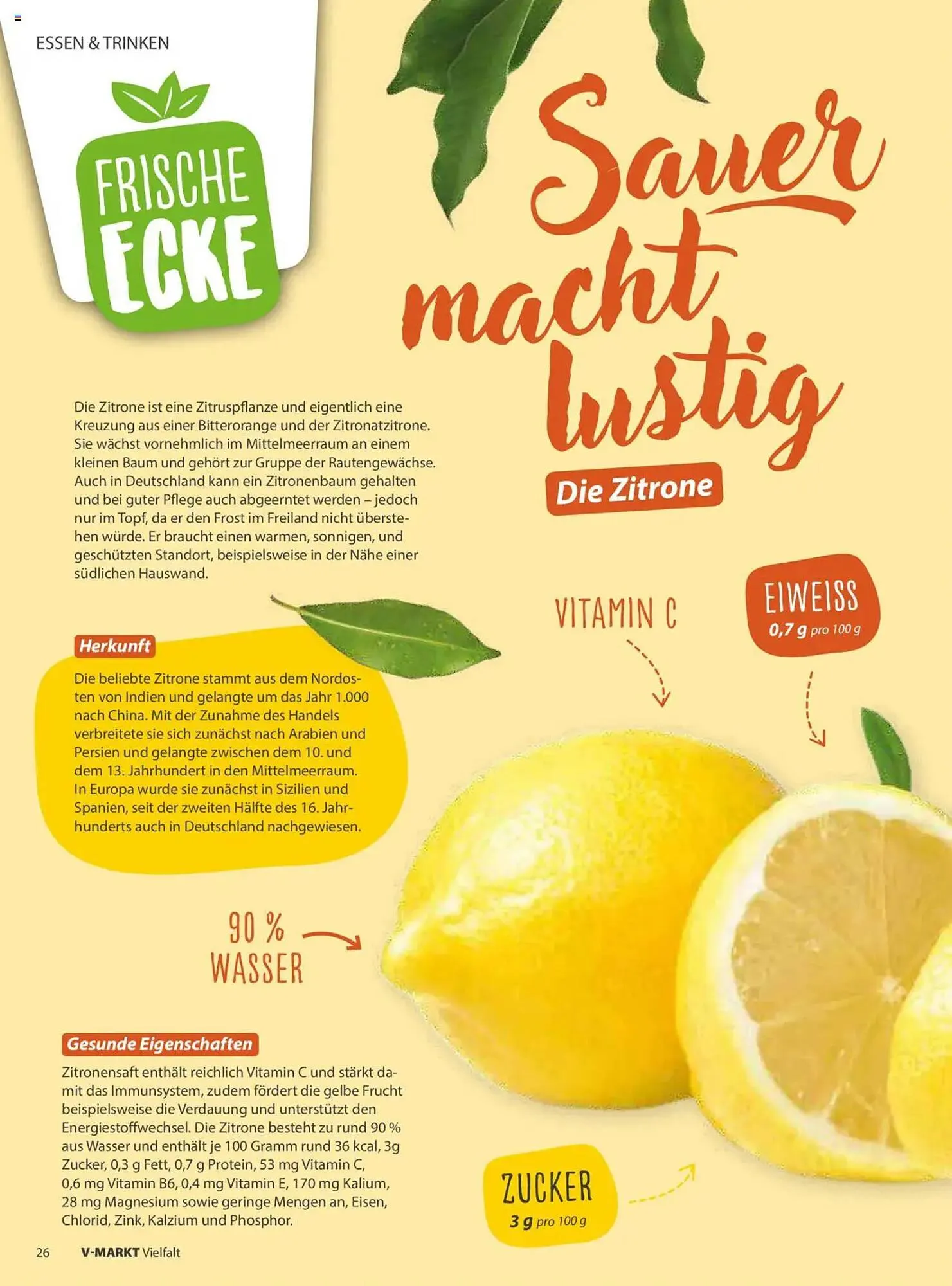 V Markt Prospekt von 1. Juli bis 31. August 2025 - Prospekt seite 26