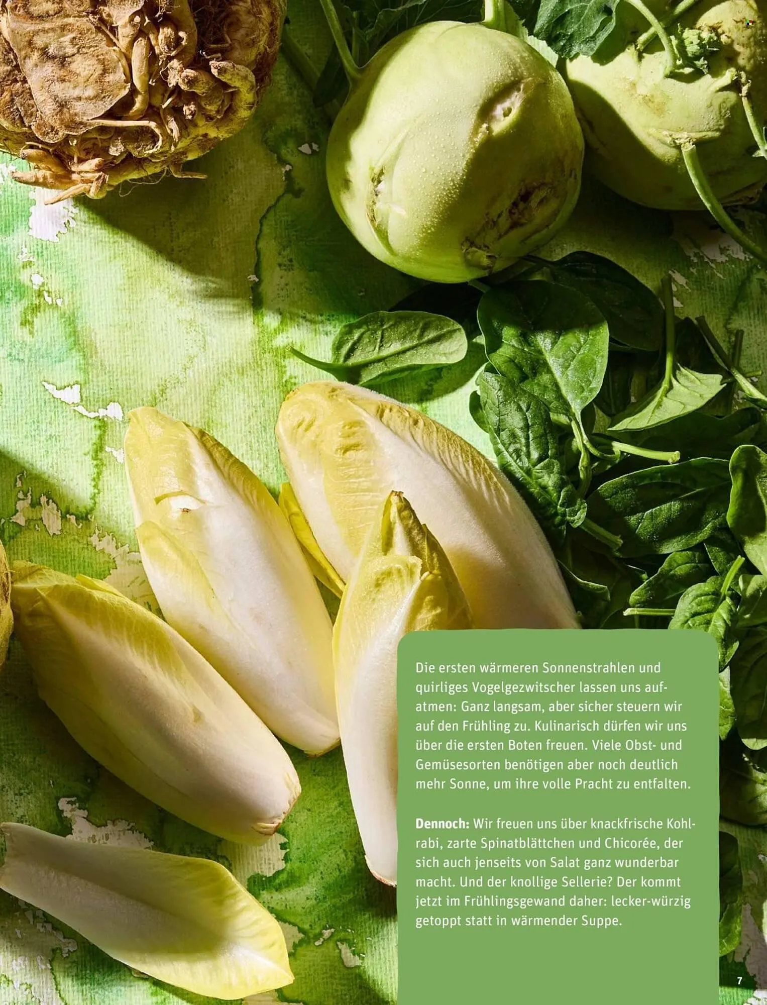 REWE Magazin von 4. März bis 12. März 2026 - Prospekt seite 7