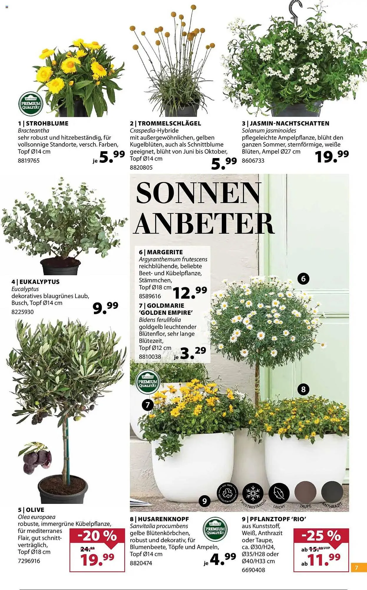 Dehner Prospekt von 2. April bis 7. April 2025 - Prospekt seite 7