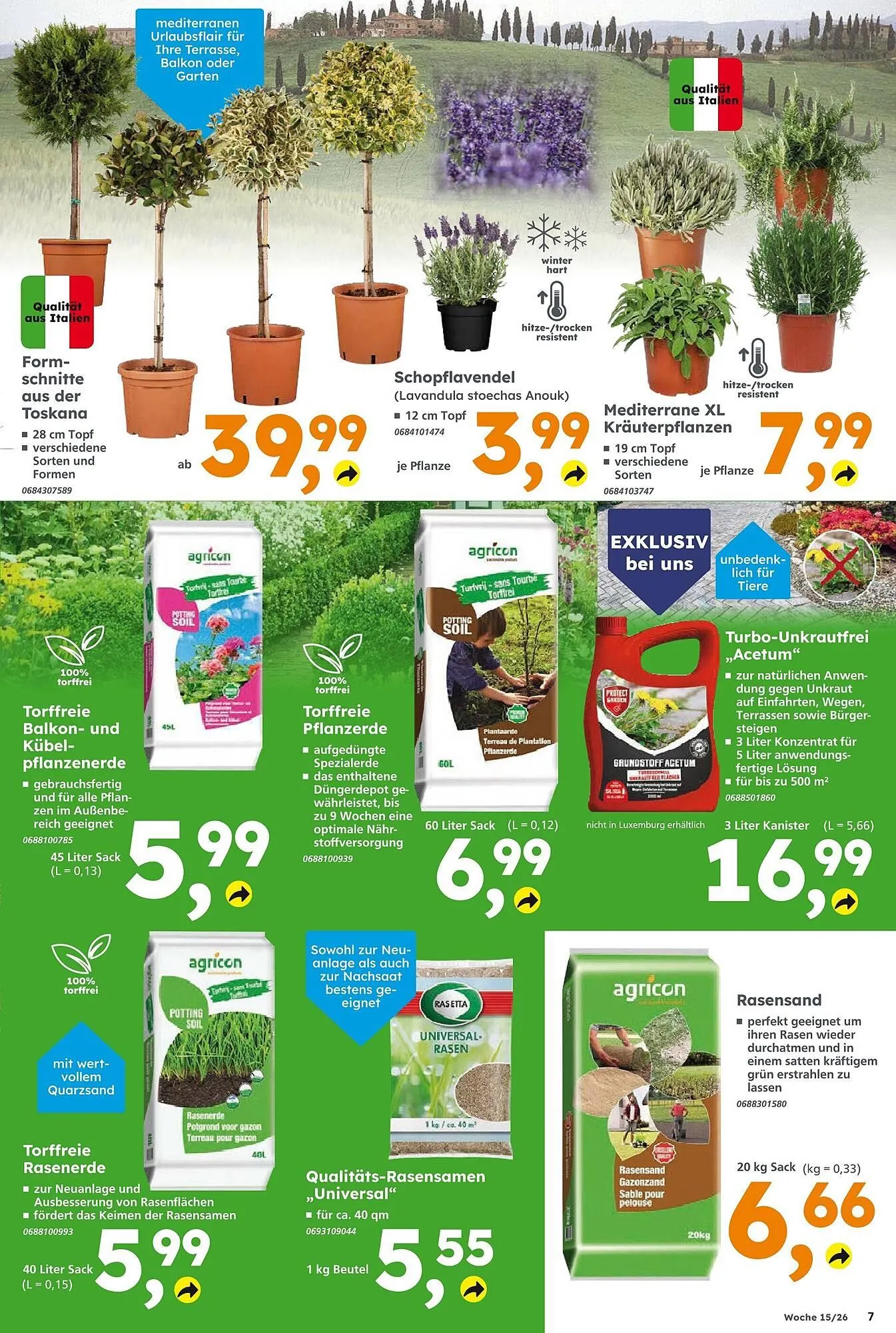 Globus Baumarkt Prospekt von 5. April bis 11. April 2026 - Prospekt seite 7