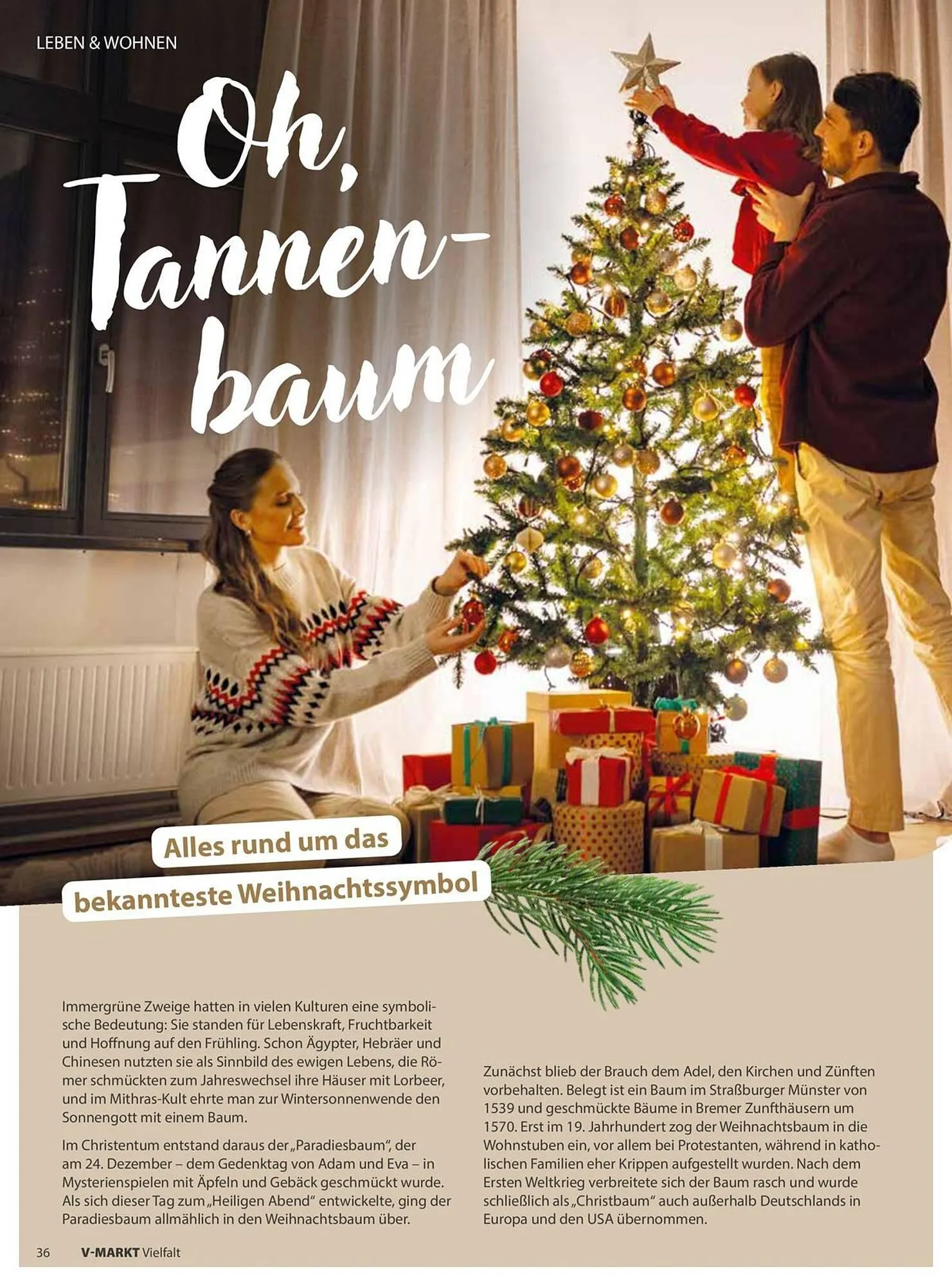 V Markt Prospekt von 1. November bis 31. Dezember 2025 - Prospekt seite 36