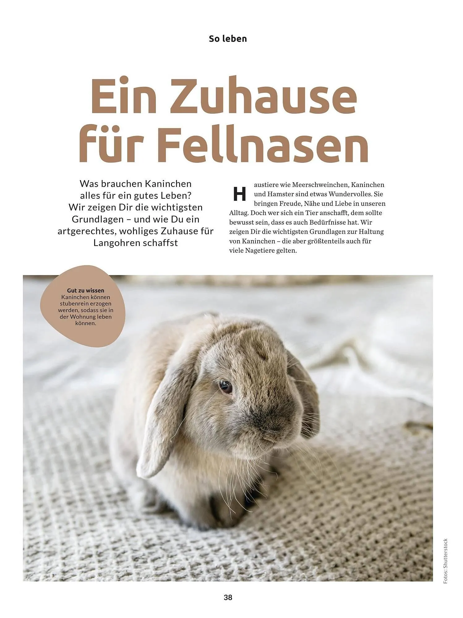 Budni Magazin von 24. Februar bis 28. Februar 2026 - Prospekt seite 38