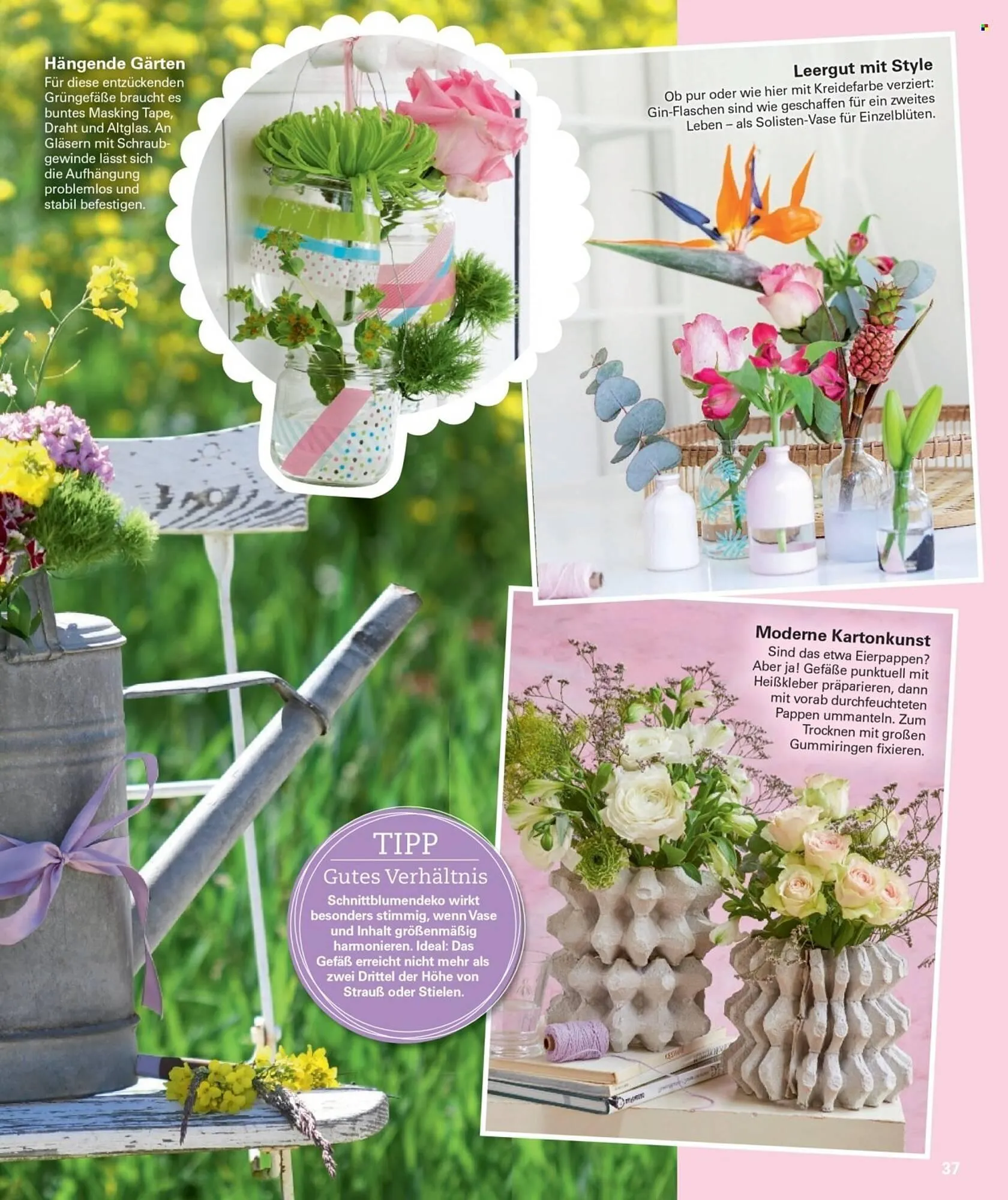 Poco Prospekt von 28. April bis 22. Juni 2025 - Prospekt seite 37