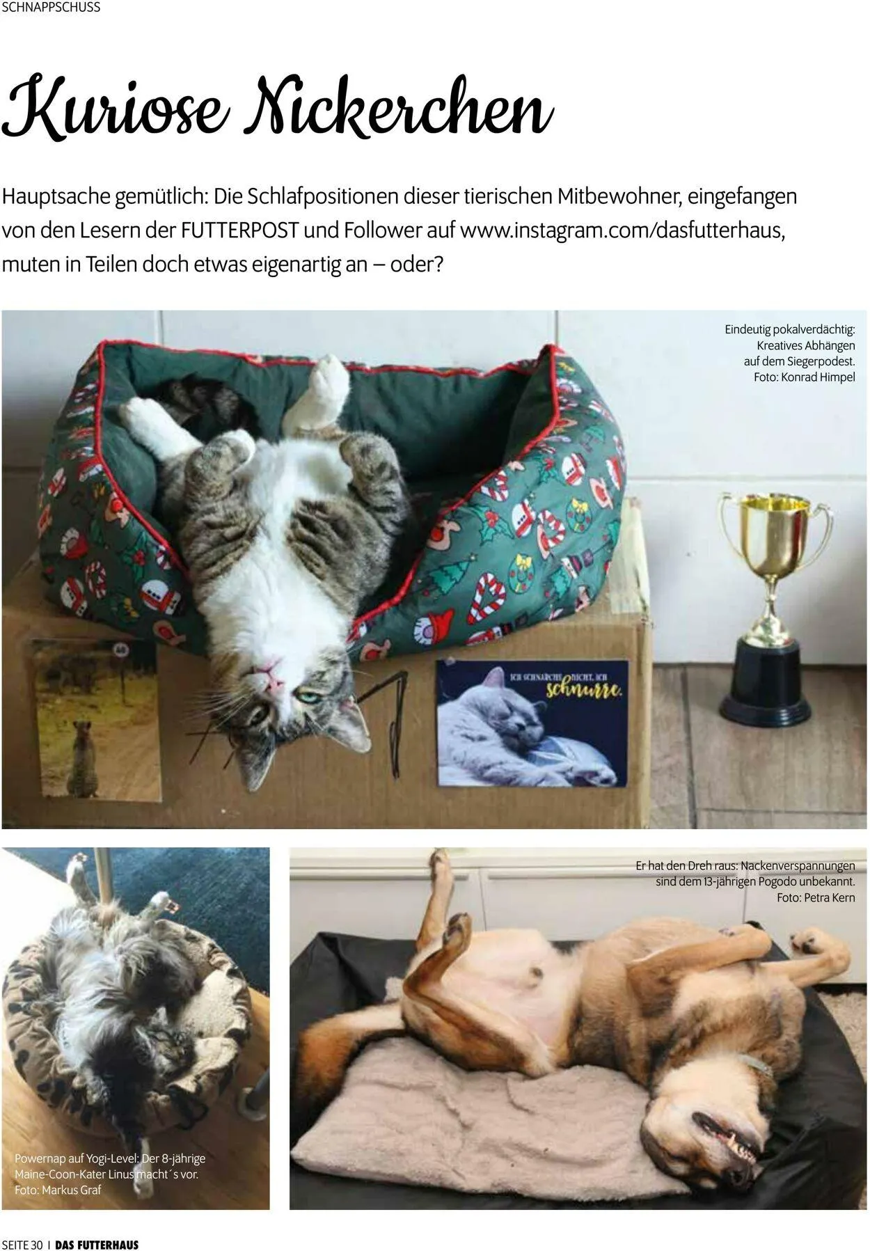 Futterhaus Aktueller Prospekt von 1. Oktober bis 31. Oktober 2025 - Prospekt seite 30