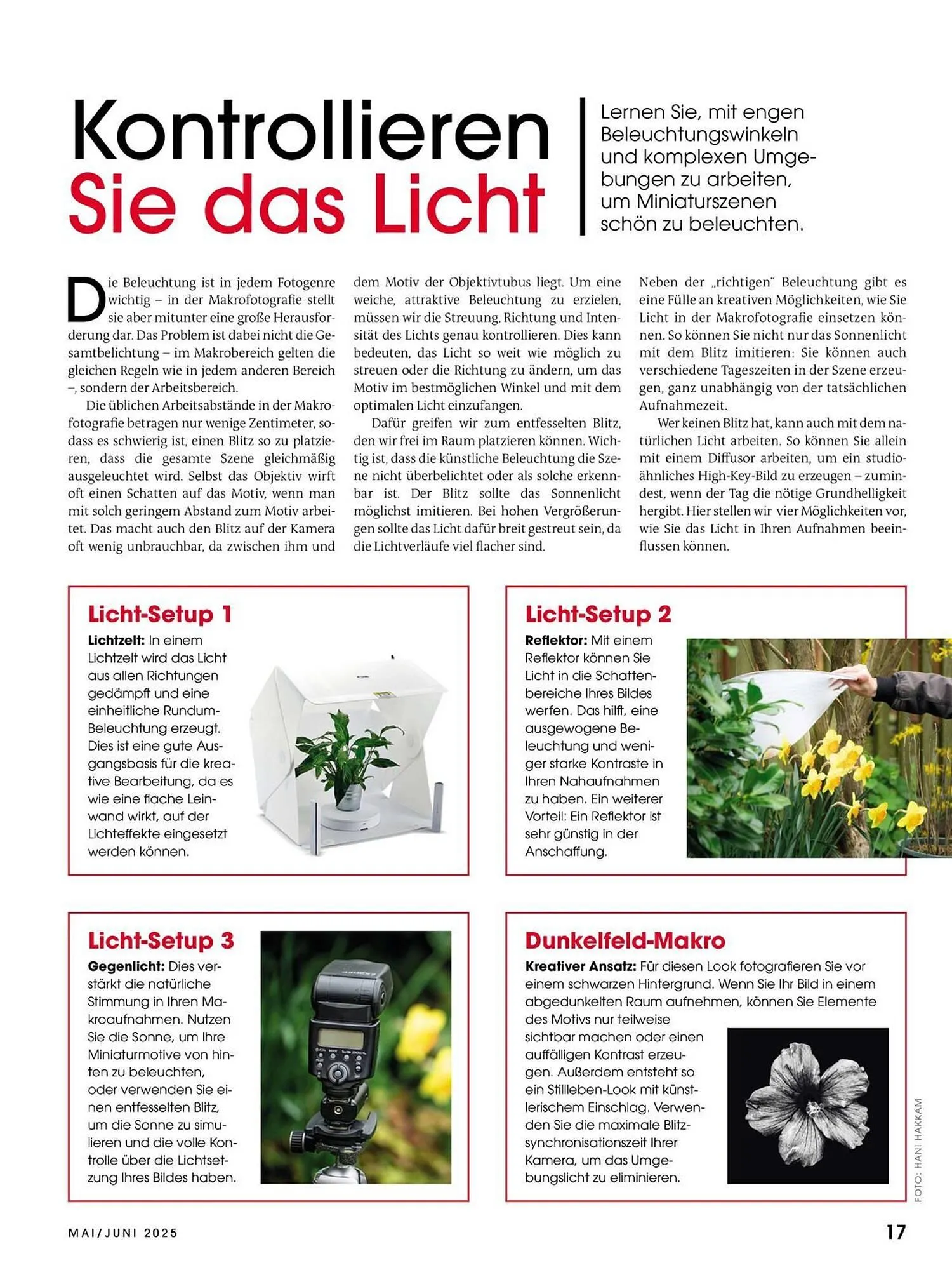 Ringfoto Prospekt von 22. Mai bis 30. Juni 2025 - Prospekt seite 17