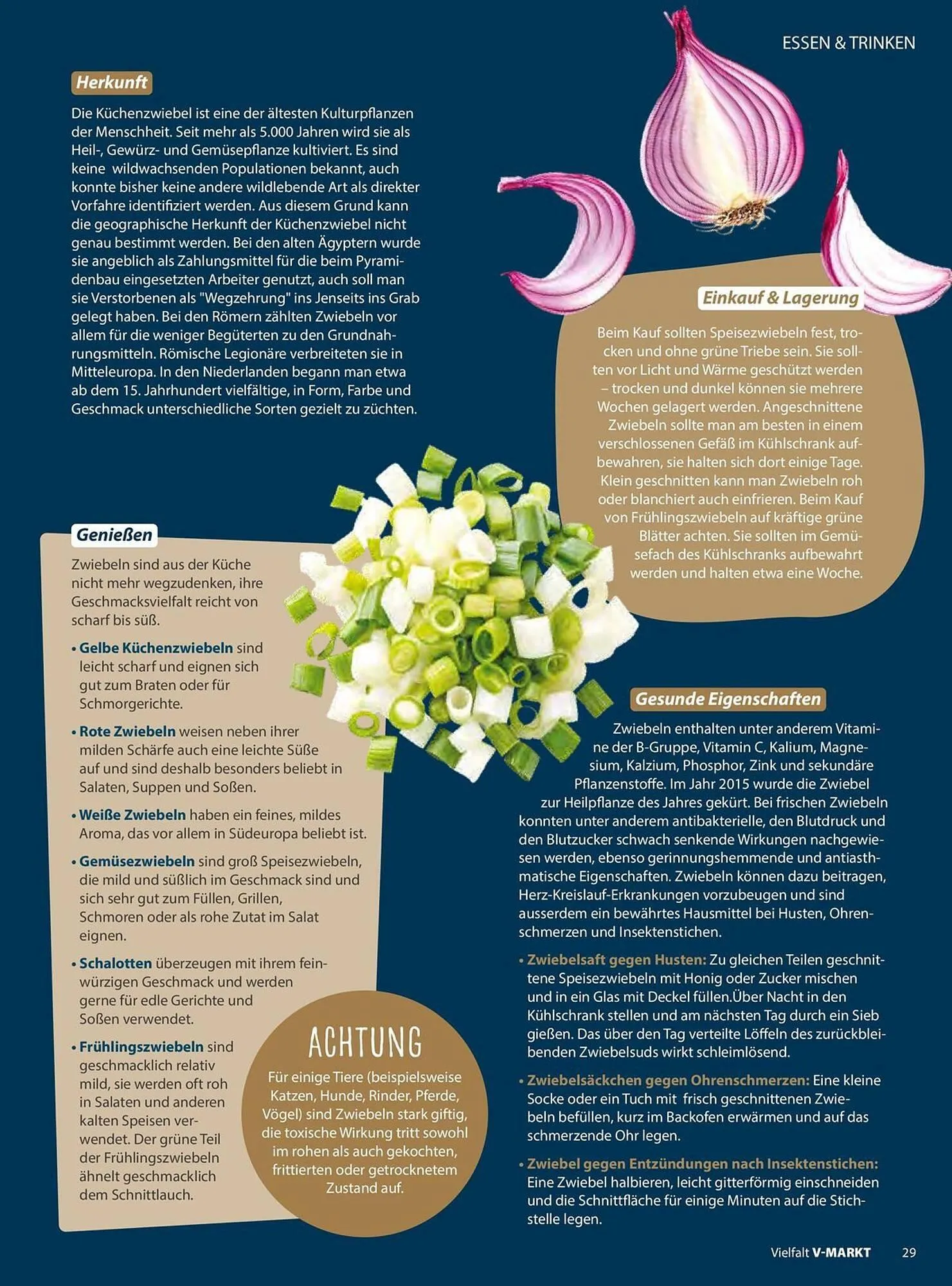 V Markt Prospekt von 1. November bis 31. Dezember 2025 - Prospekt seite 29