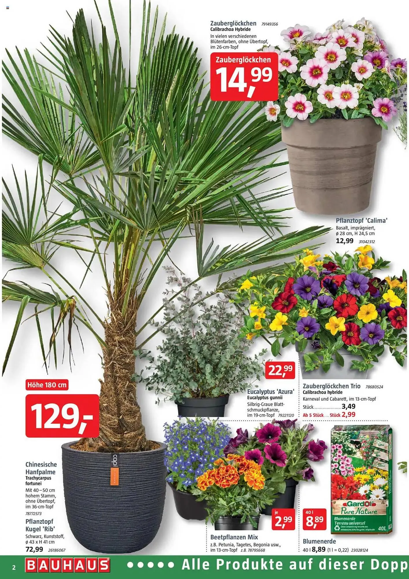 Bauhaus Prospekt von 31. Mai bis 28. Juni 2025 - Prospekt seite 2