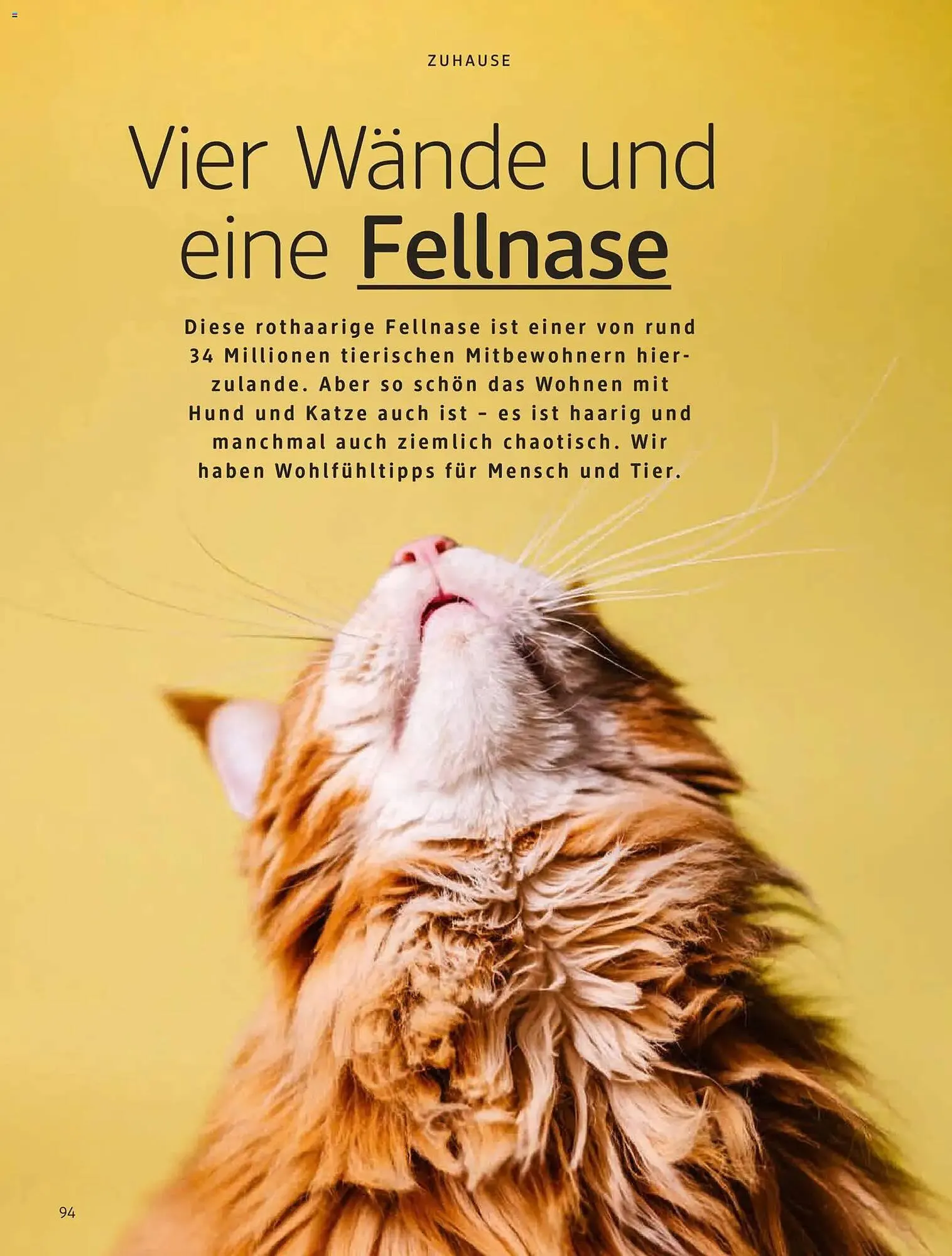 Dm drogerie Magazin von 1. Januar bis 31. Januar 2026 - Prospekt seite 94