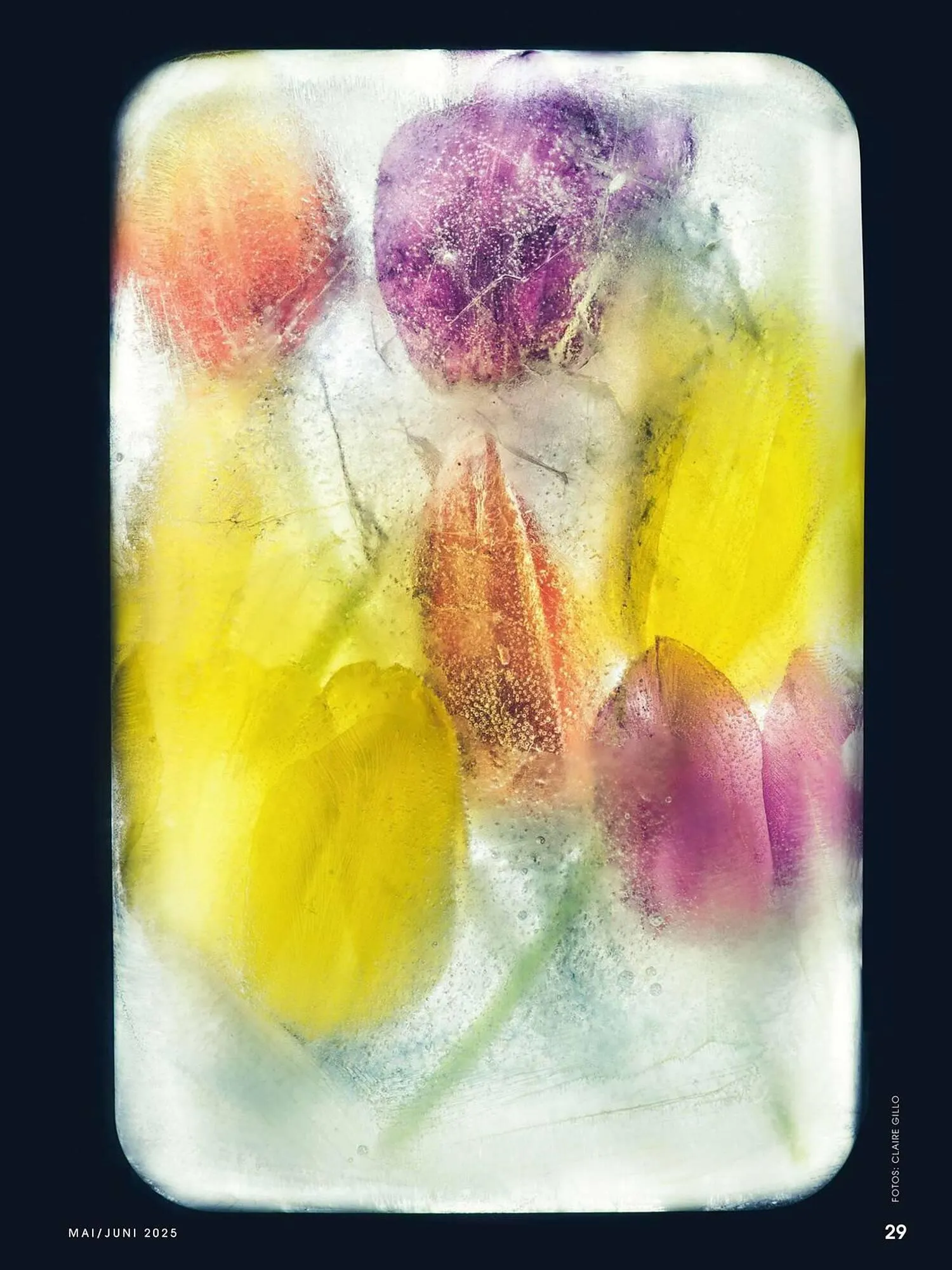 Ringfoto Prospekt von 22. Mai bis 30. Juni 2025 - Prospekt seite 29