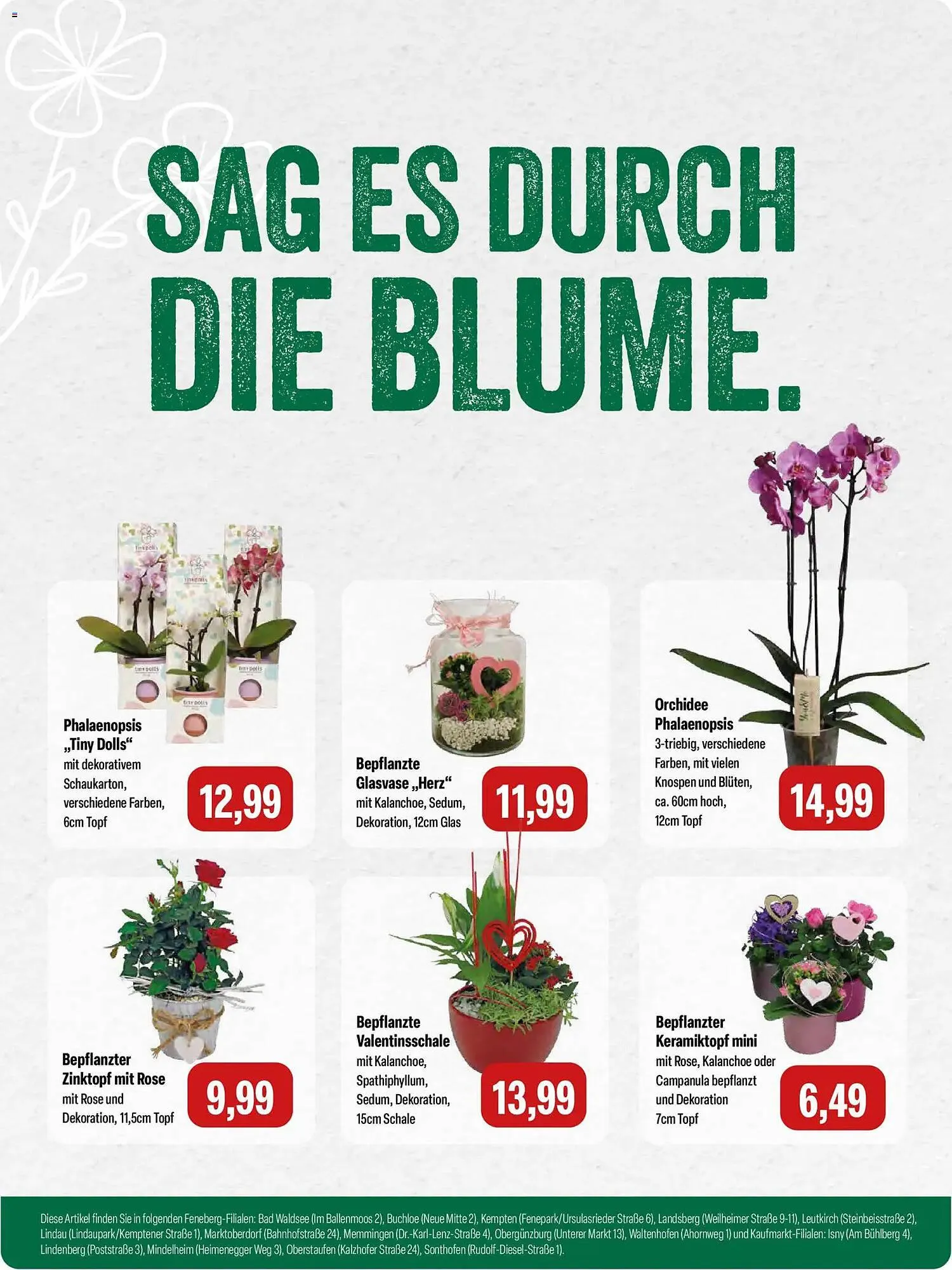 Feneberg Prospekt von 5. Februar bis 7. Februar 2026 - Prospekt seite 8