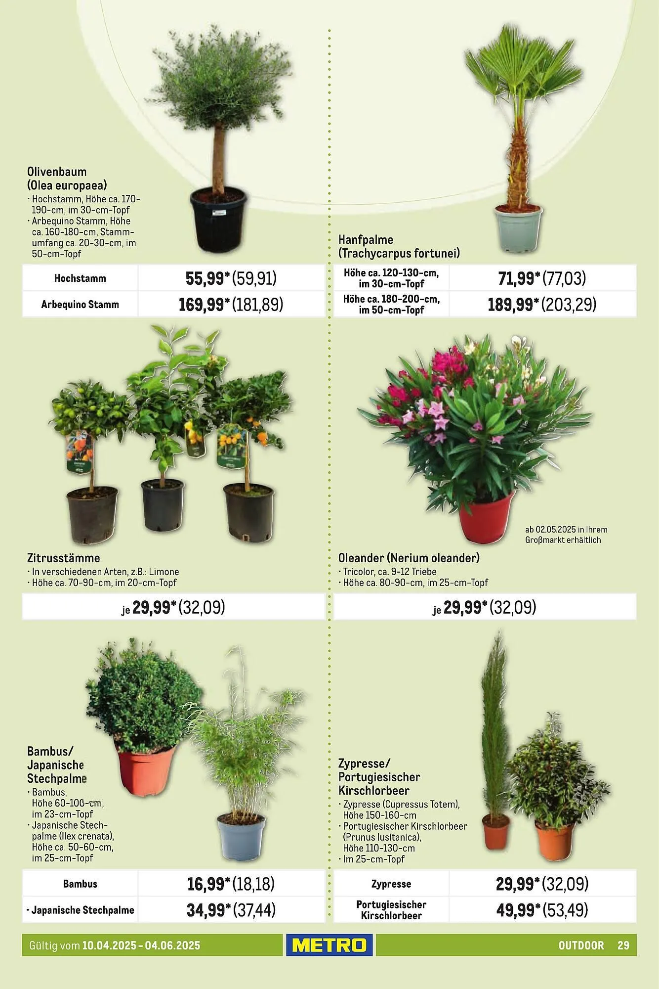 METRO Prospekt von 10. April bis 6. Juni 2025 - Prospekt seite 29