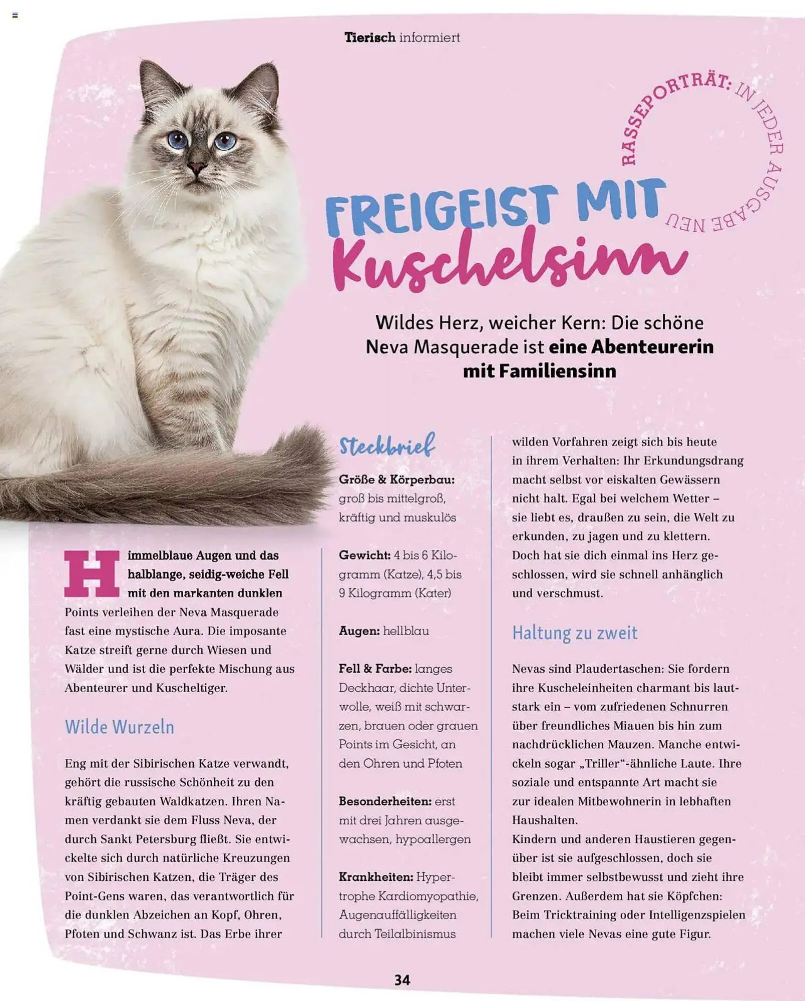 Fressnapf Prospekt von 1. Juli bis 31. August 2025 - Prospekt seite 34