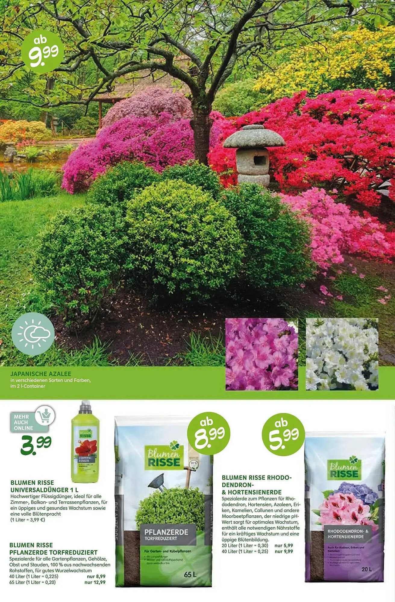 Blumen Risse Prospekt von 16. April bis 26. April 2026 - Prospekt seite 12