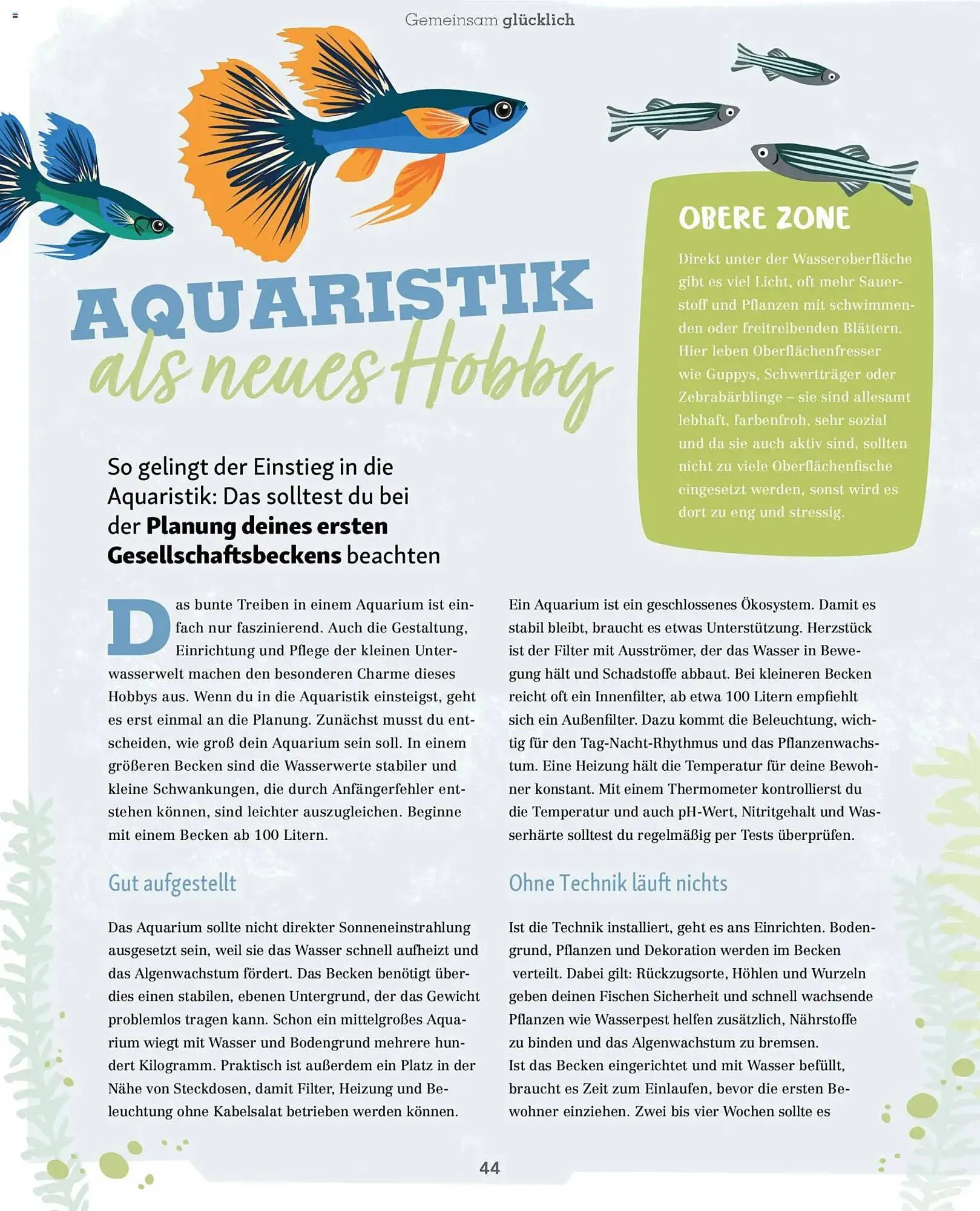 Fressnapf Magazin von 1. Januar bis 28. Februar 2026 - Prospekt seite 44