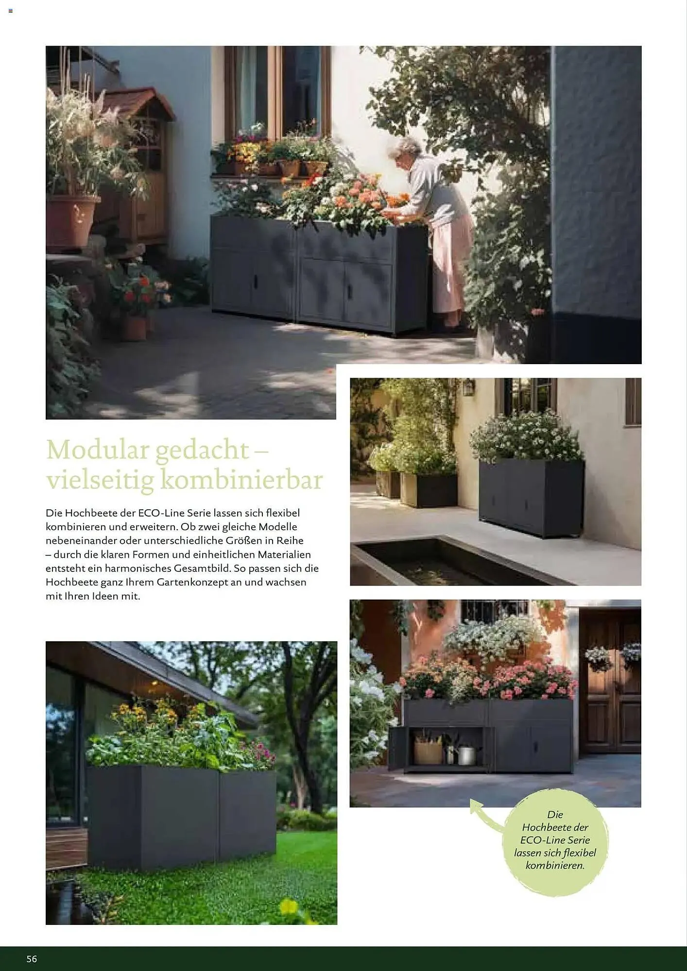 Dehner Prospekt von 1. Januar bis 31. Dezember 2026 - Prospekt seite 56