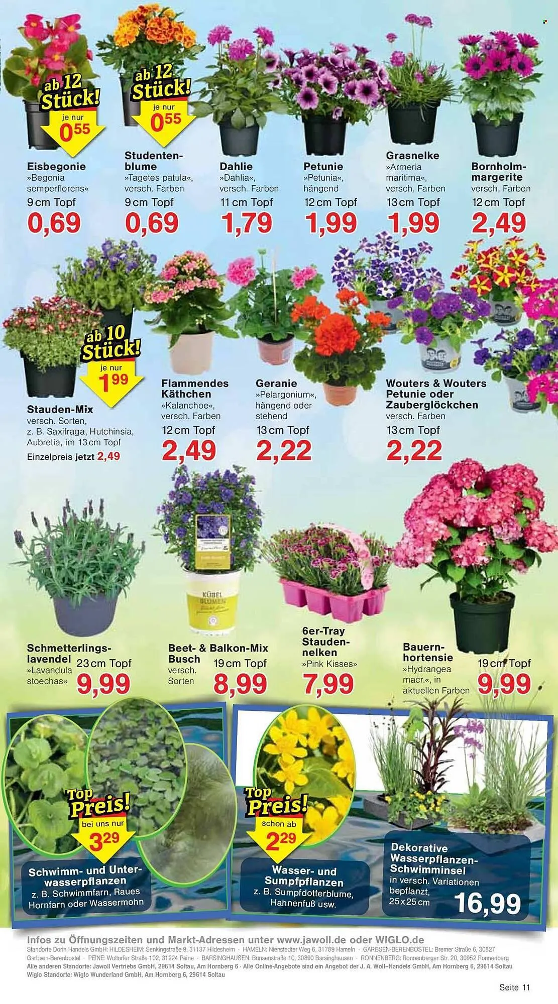 Jawoll Prospekt von 22. April bis 26. April 2025 - Prospekt seite 15