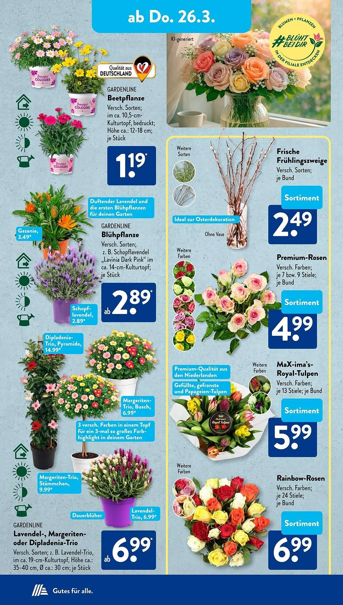 Aldi Süd Prospekt von 23. März bis 29. März 2026 - Prospekt seite 11