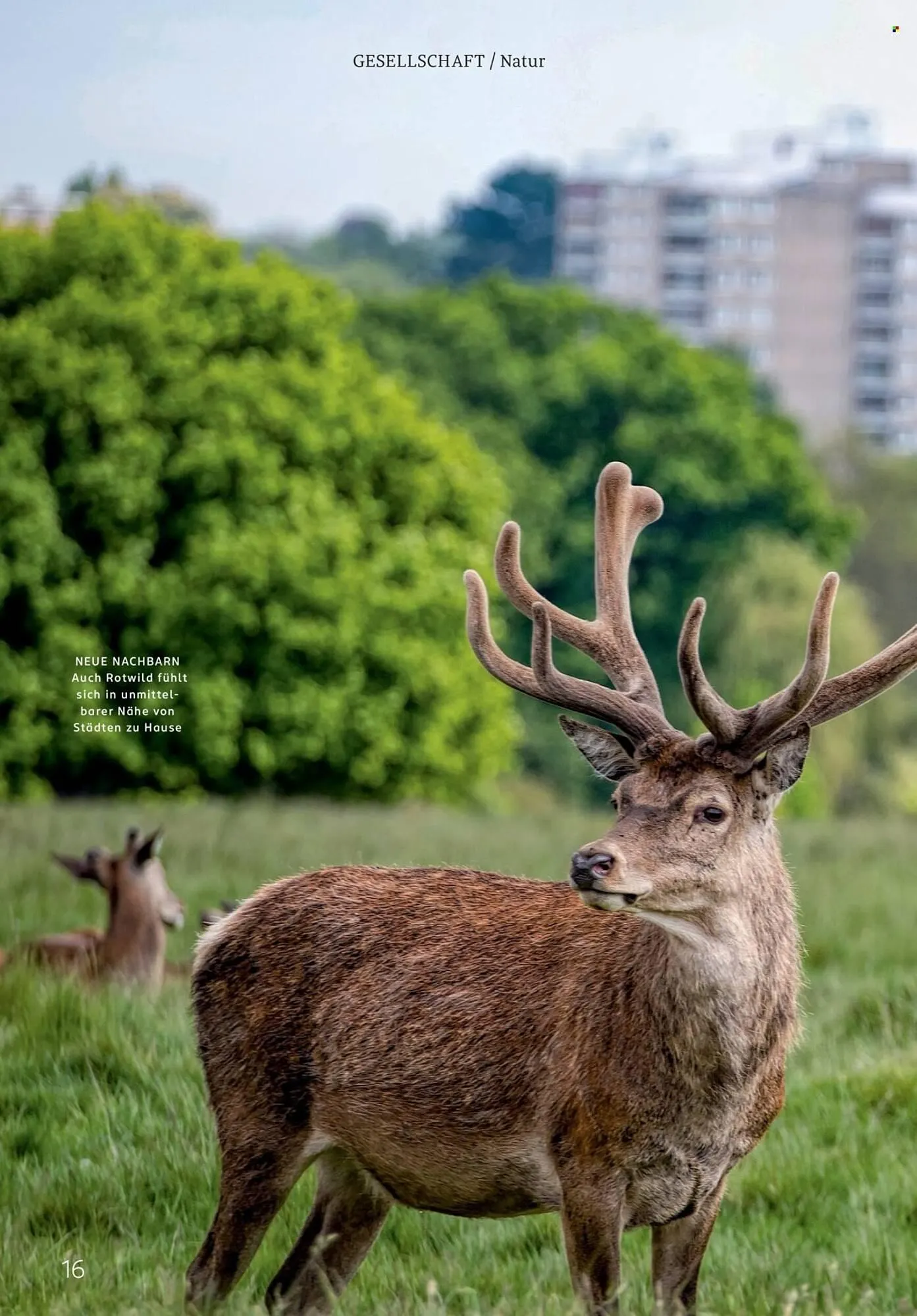 Rossmann Magazin von 1. März bis 31. März 2026 - Prospekt seite 16