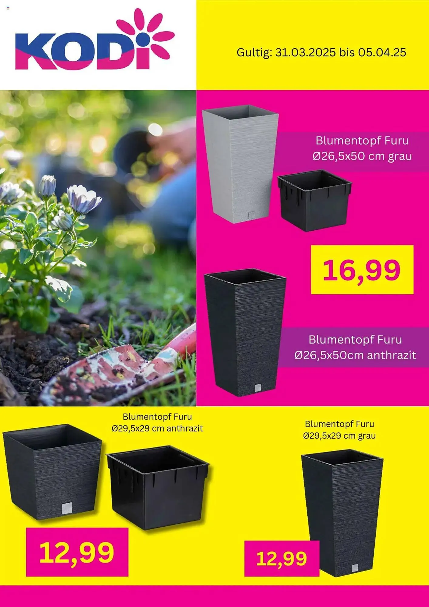 KODi Prospekt von 31. März bis 5. April 2025 - Prospekt seite 5