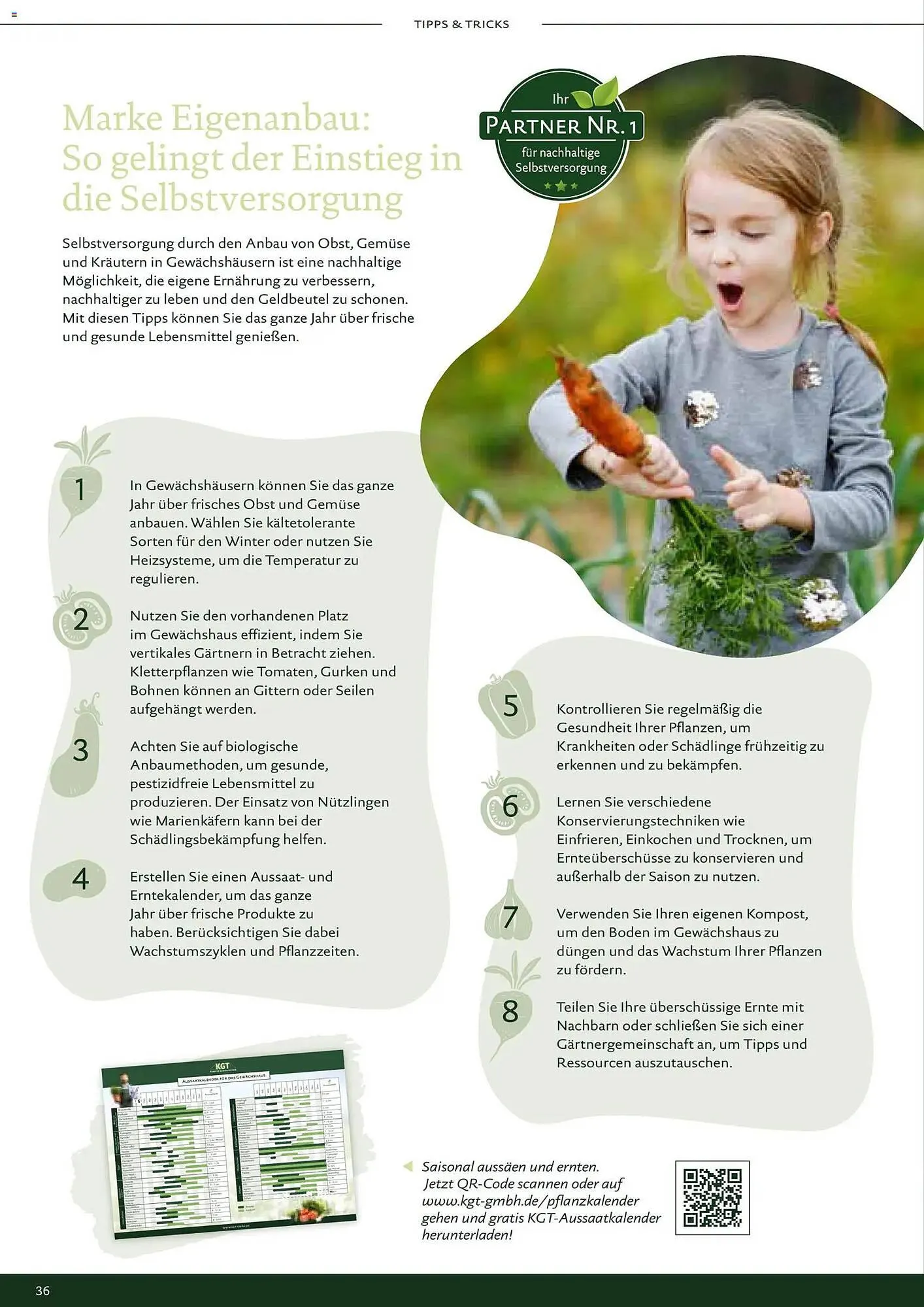 Dehner Prospekt von 1. Januar bis 31. Dezember 2026 - Prospekt seite 36